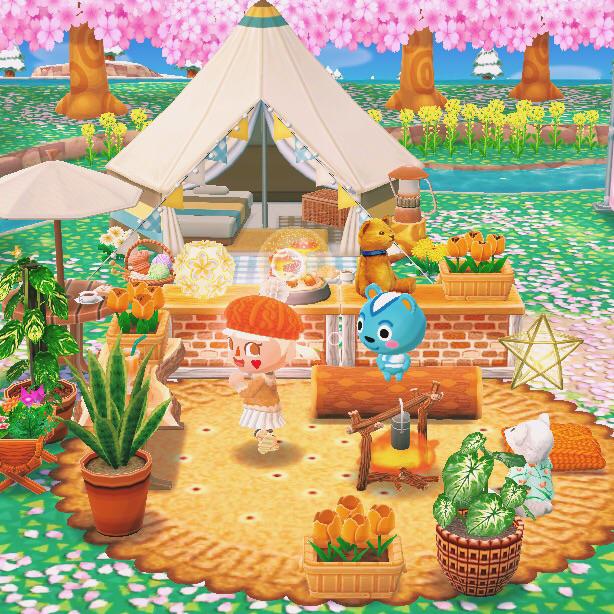 filbert... what are you looking at ?! r/ACPocketCamp