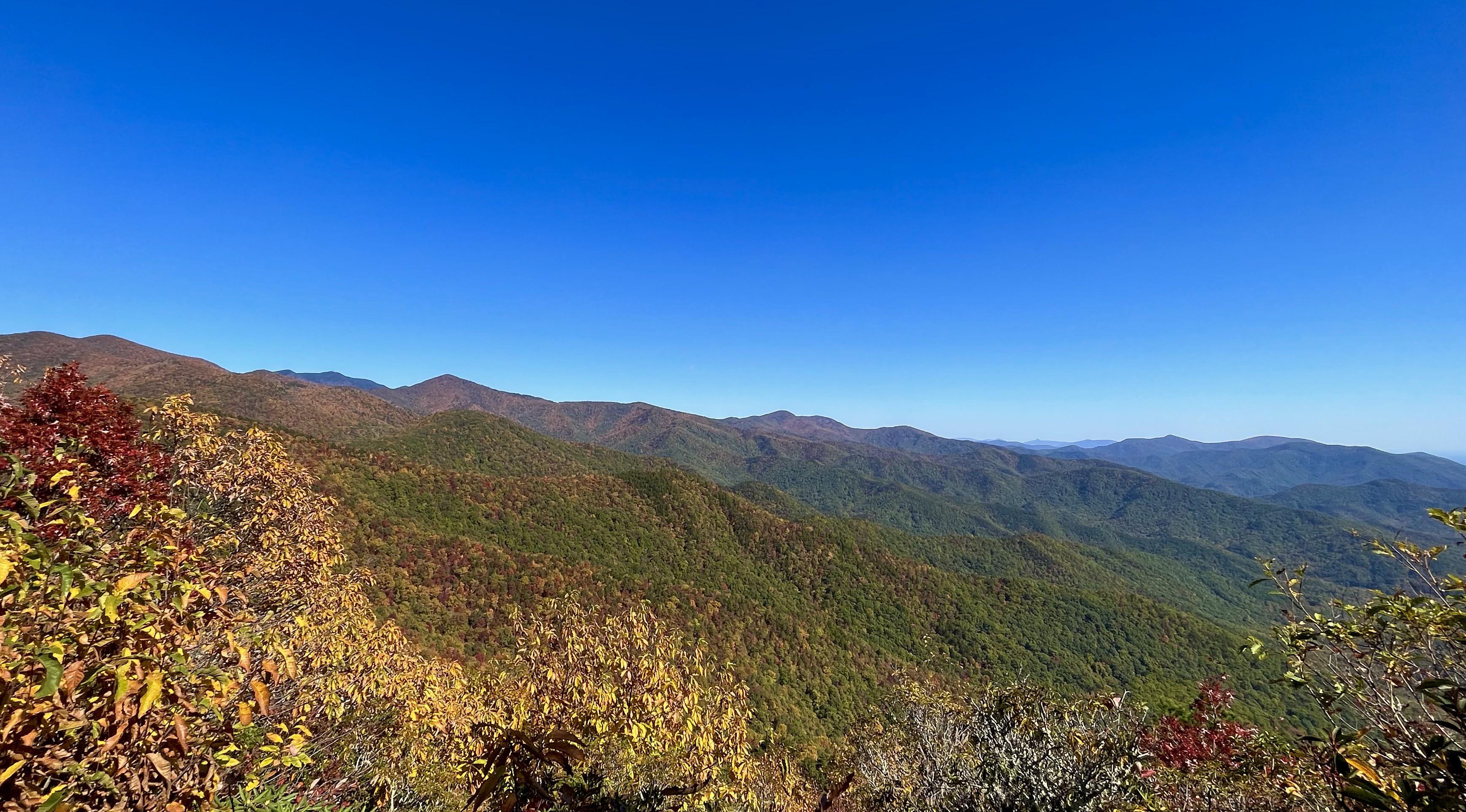 Looking NE from near Brushy Mtn on the East Ridge Trail. Graybeard is