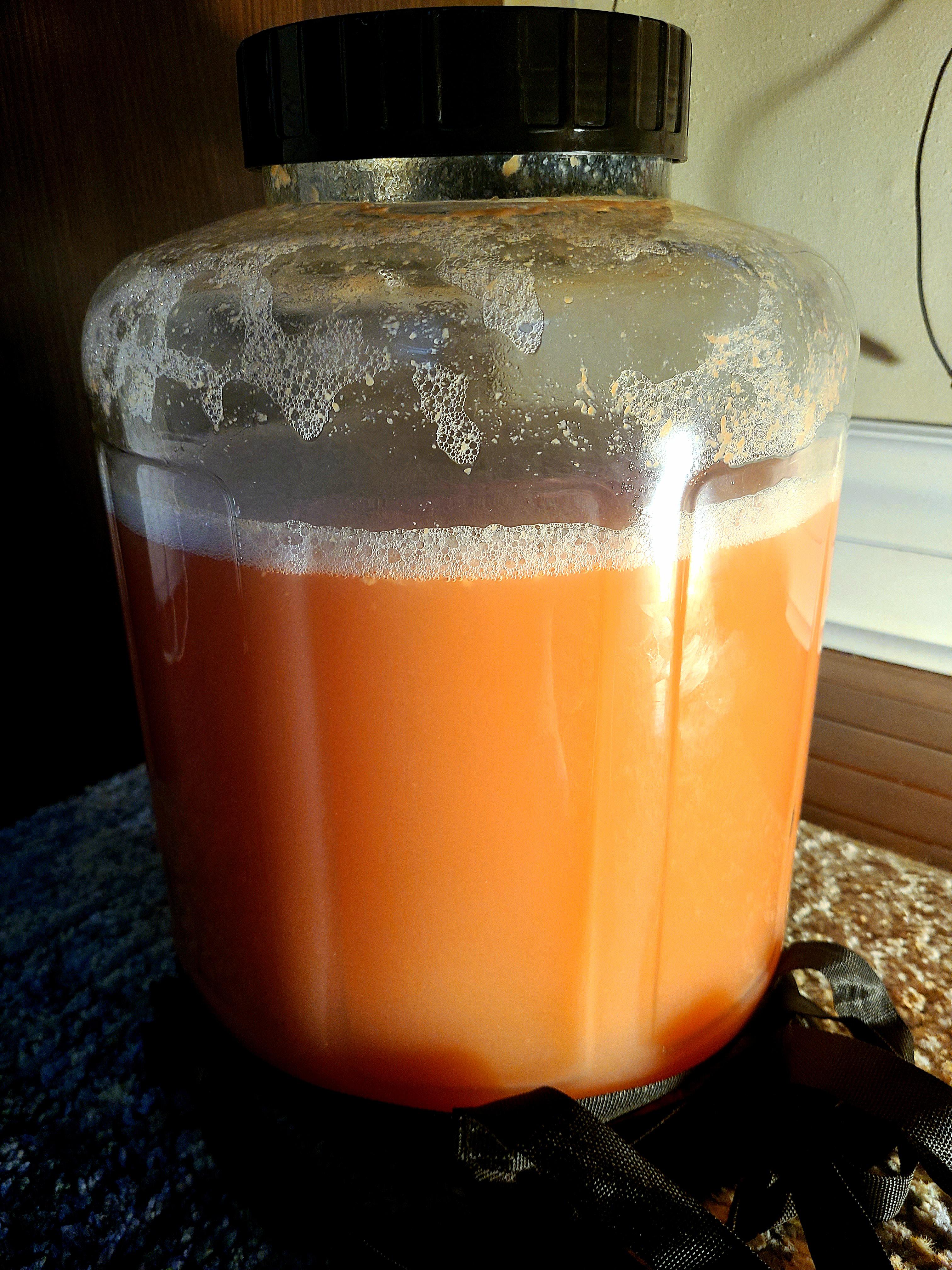 Kveik Loki Raspberry Lemonade Mead Bubbling away r/mead