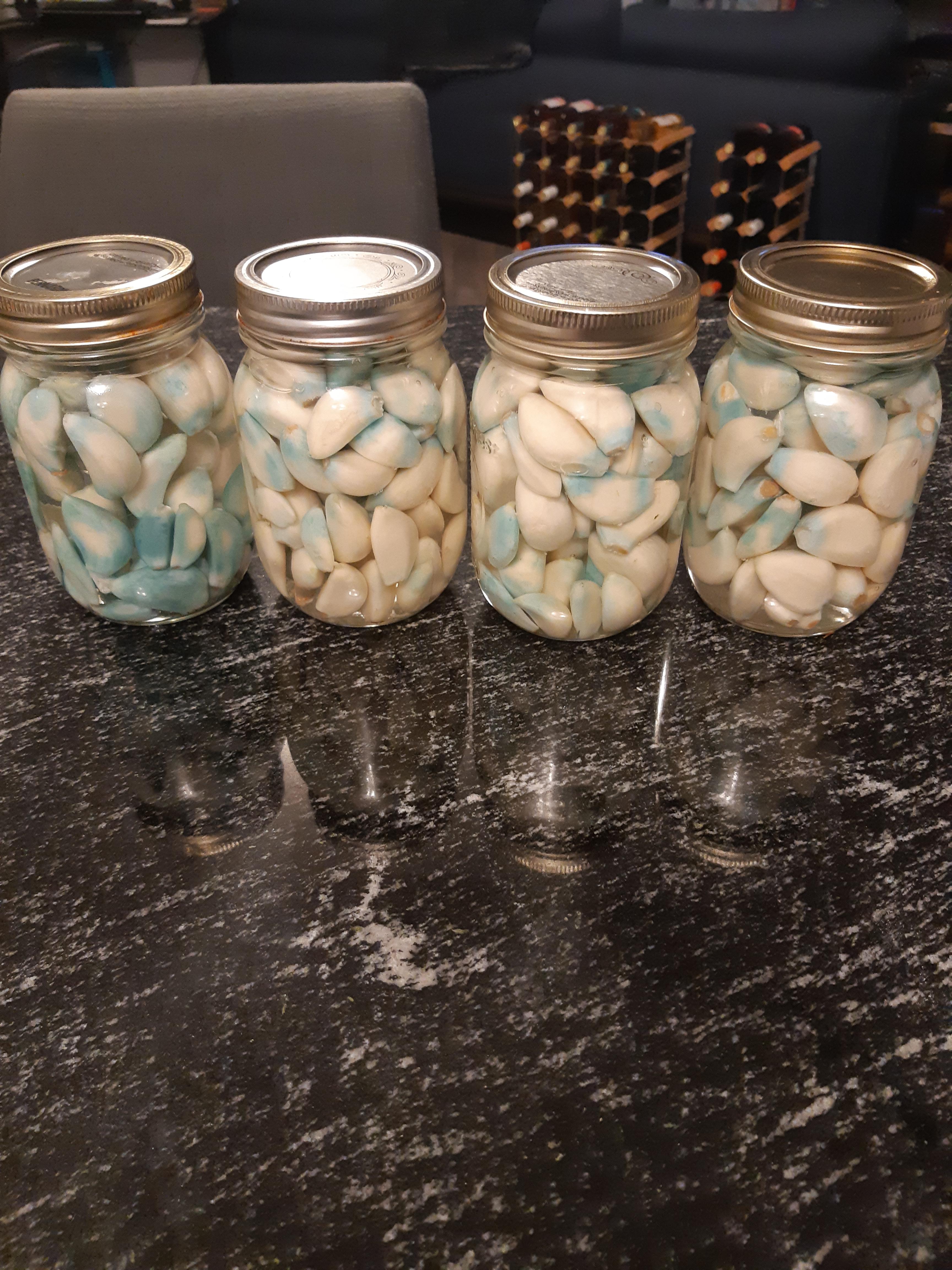 Turns Out... Garlic Turns Blue when Pickled! r/mildlyinteresting