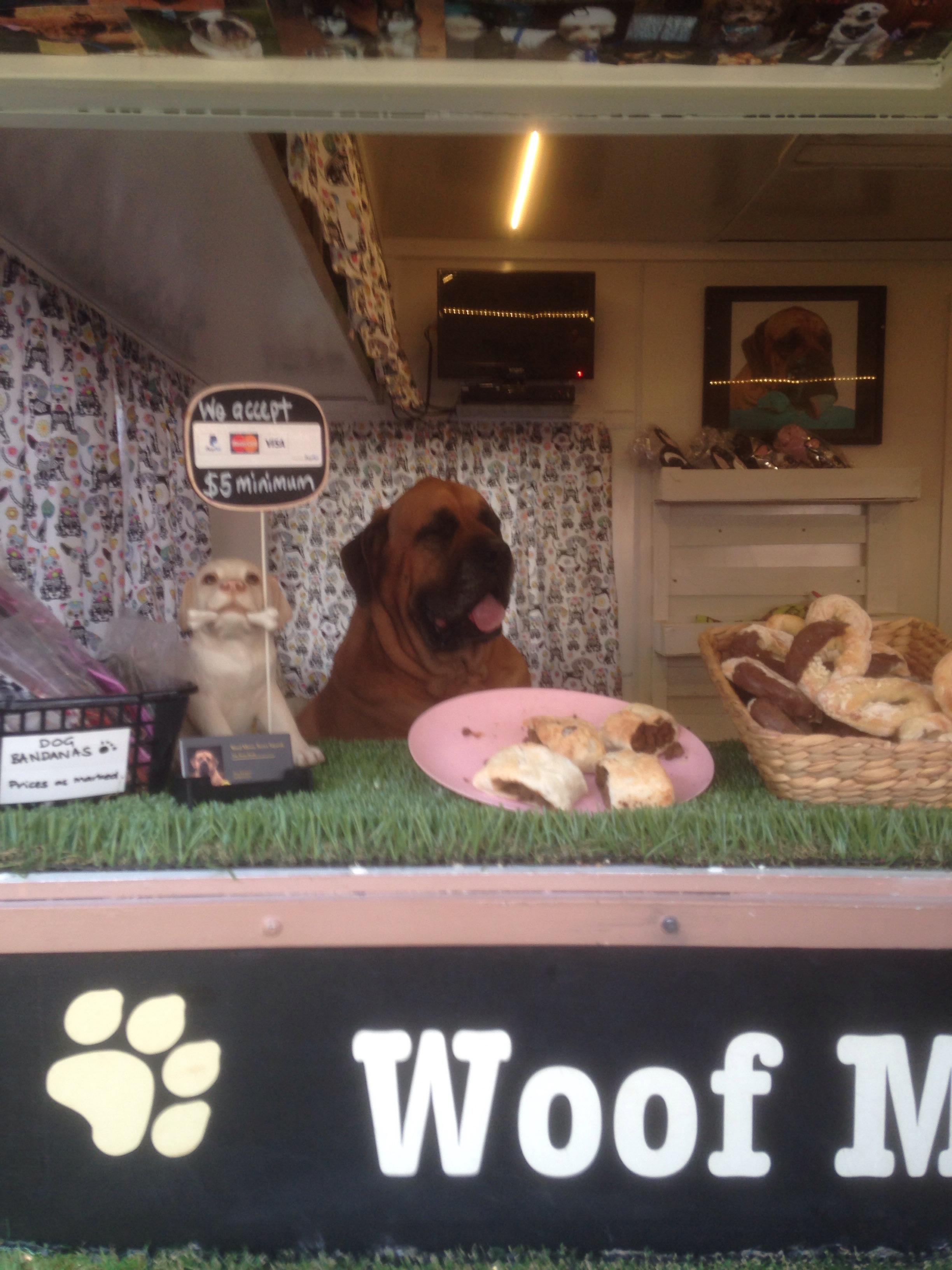 Master of temptation. Selling dog treats. r/dogswithjobs