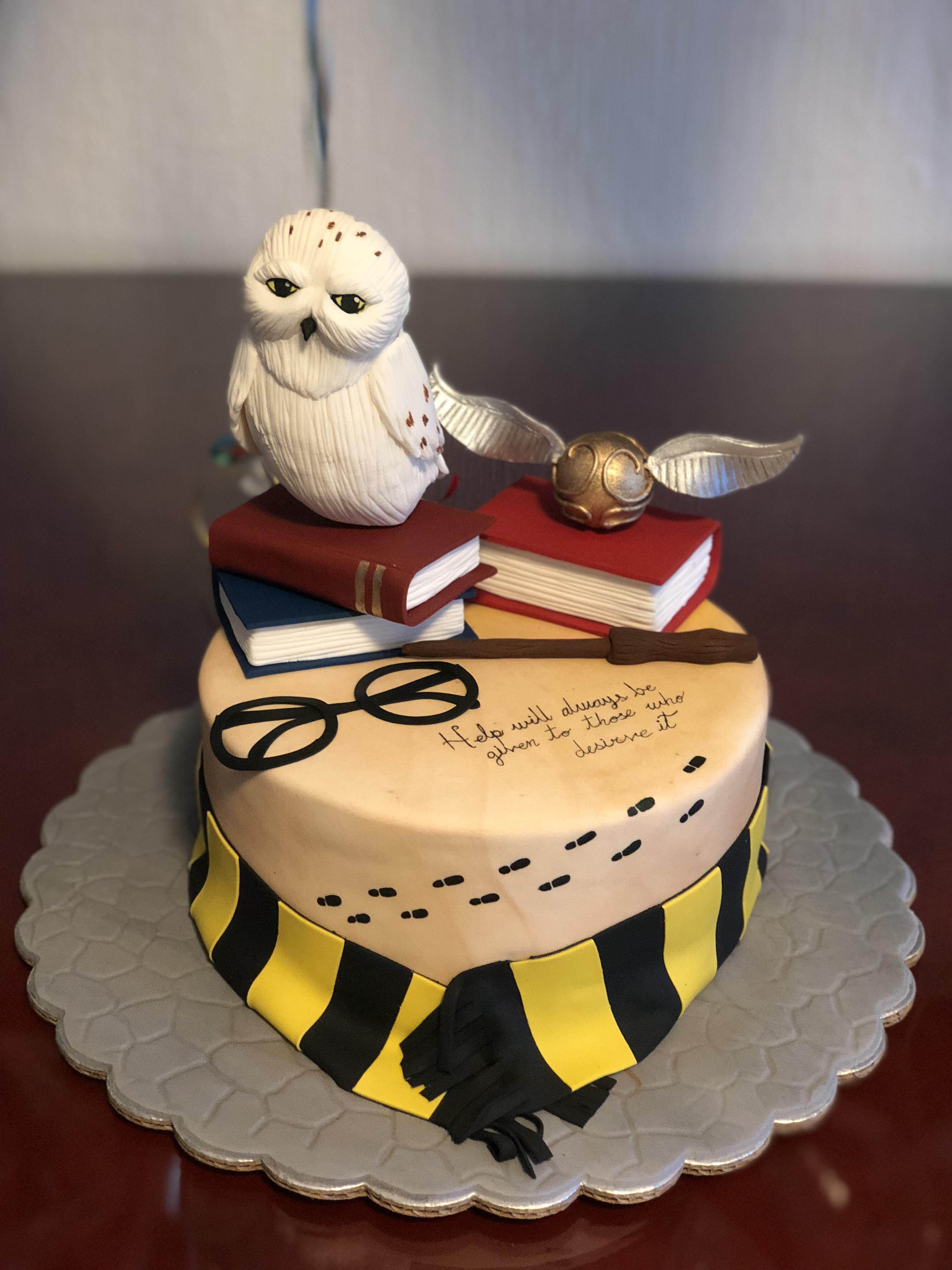 Couldn’t have asked for a more awesome birthday cake! r/harrypotter