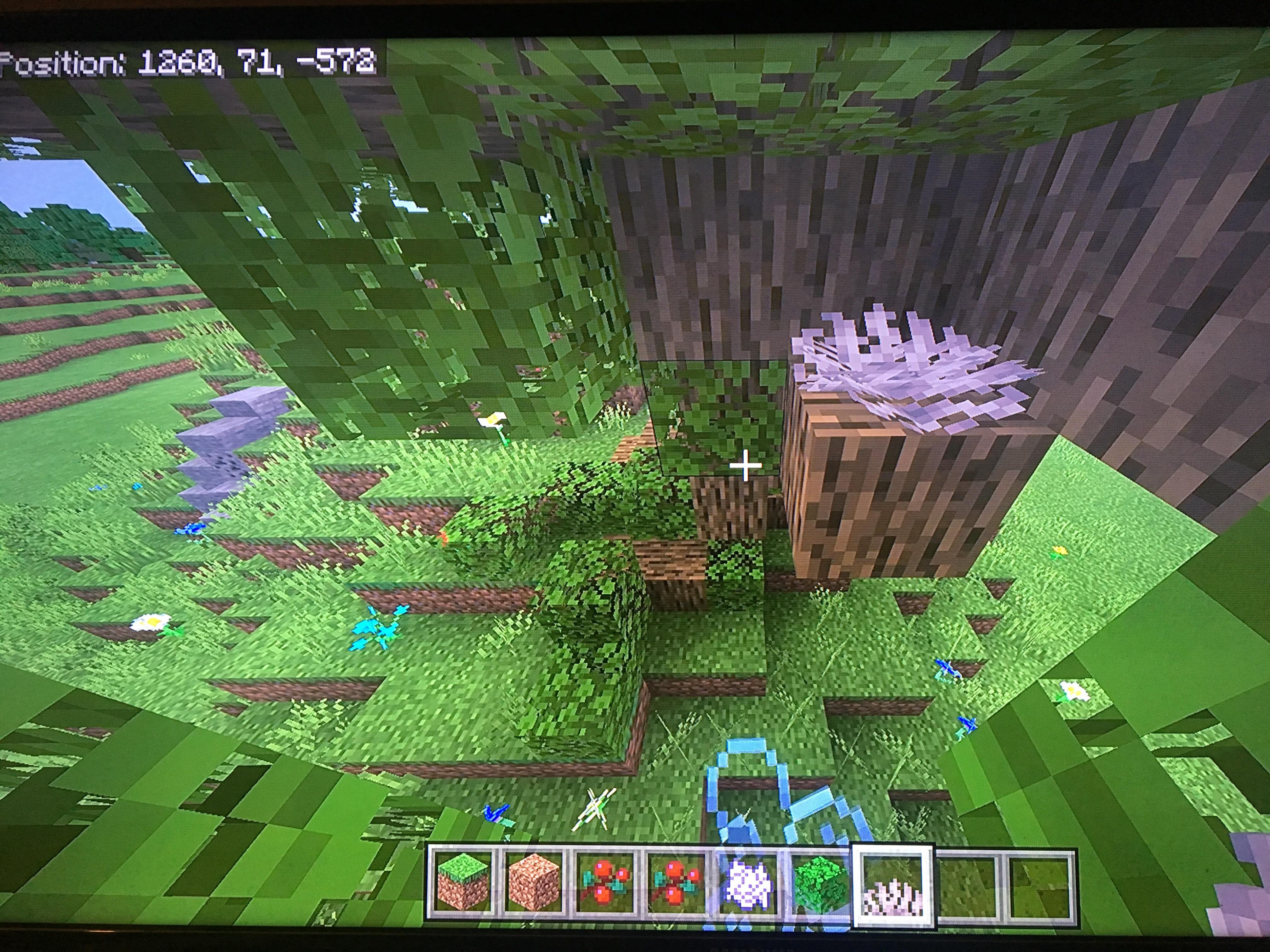 Dead coral can look like bird nests in trees r/Minecraft