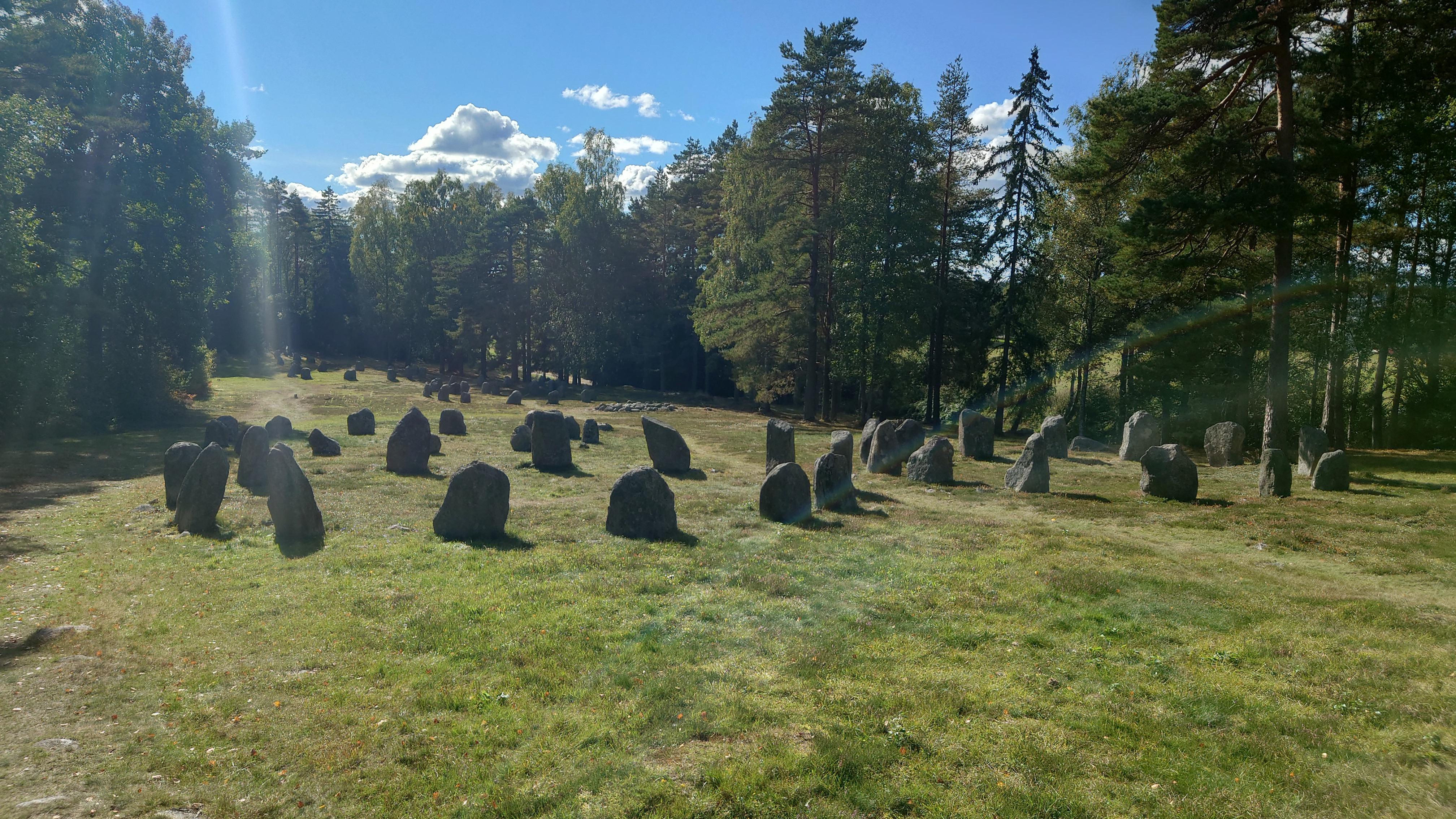 Time to bring out the old pickaxe. (Viking grave site) r/valheim