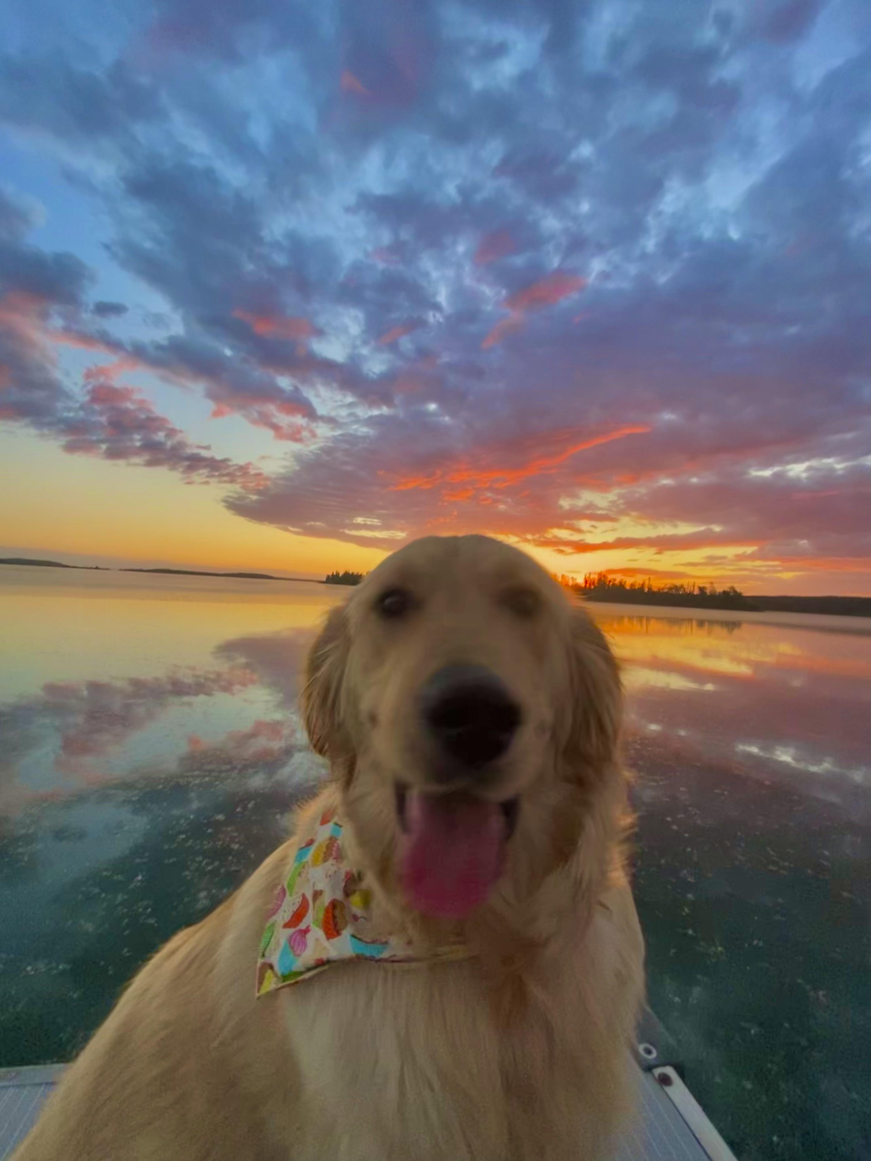 📍 goodsoil, SK, Canada r/sunset