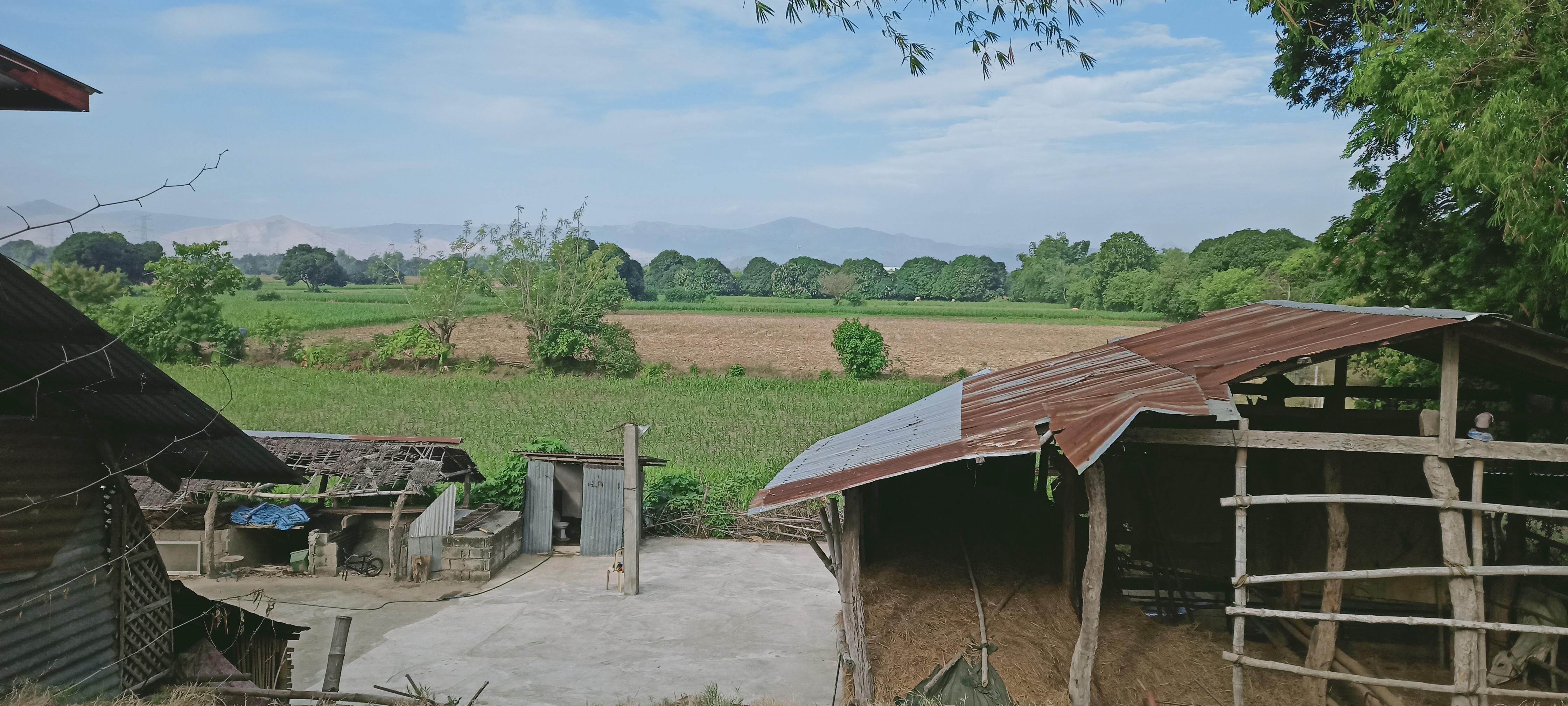 Morning view, San Carlos City, Pangasinan r/Philippines