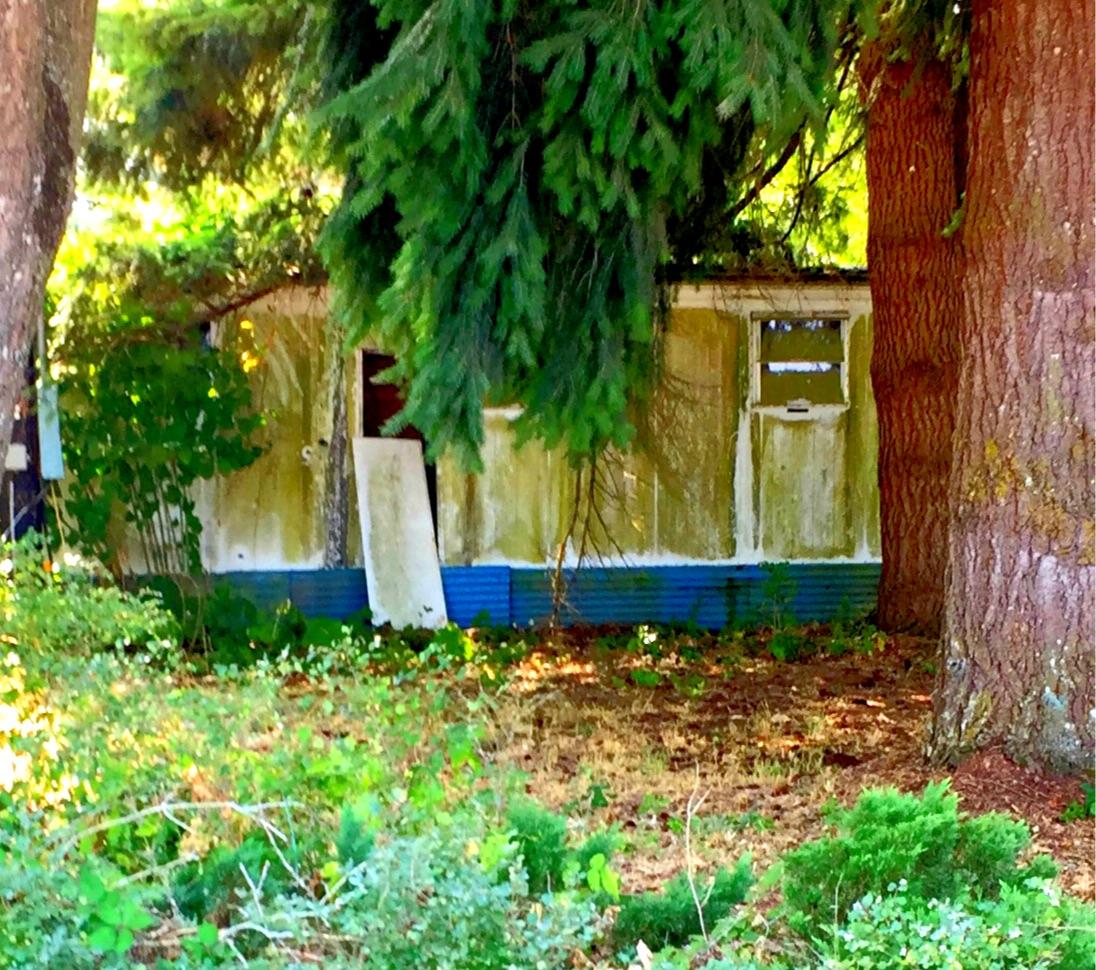 Abandoned mobile home in rural western Oregon [600X800] [OC]. r