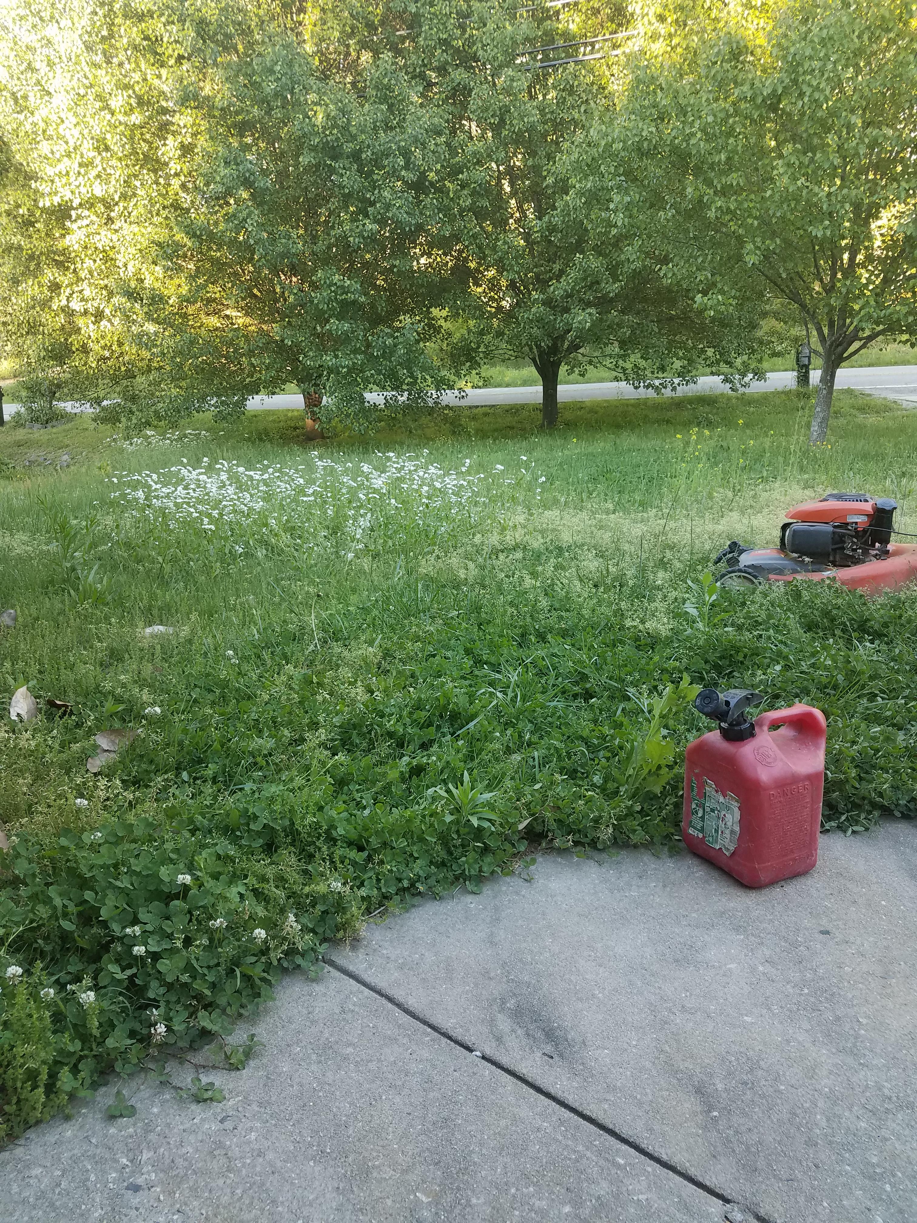 Feeling the pressures of social norms and HOAs. Might destroy an entire