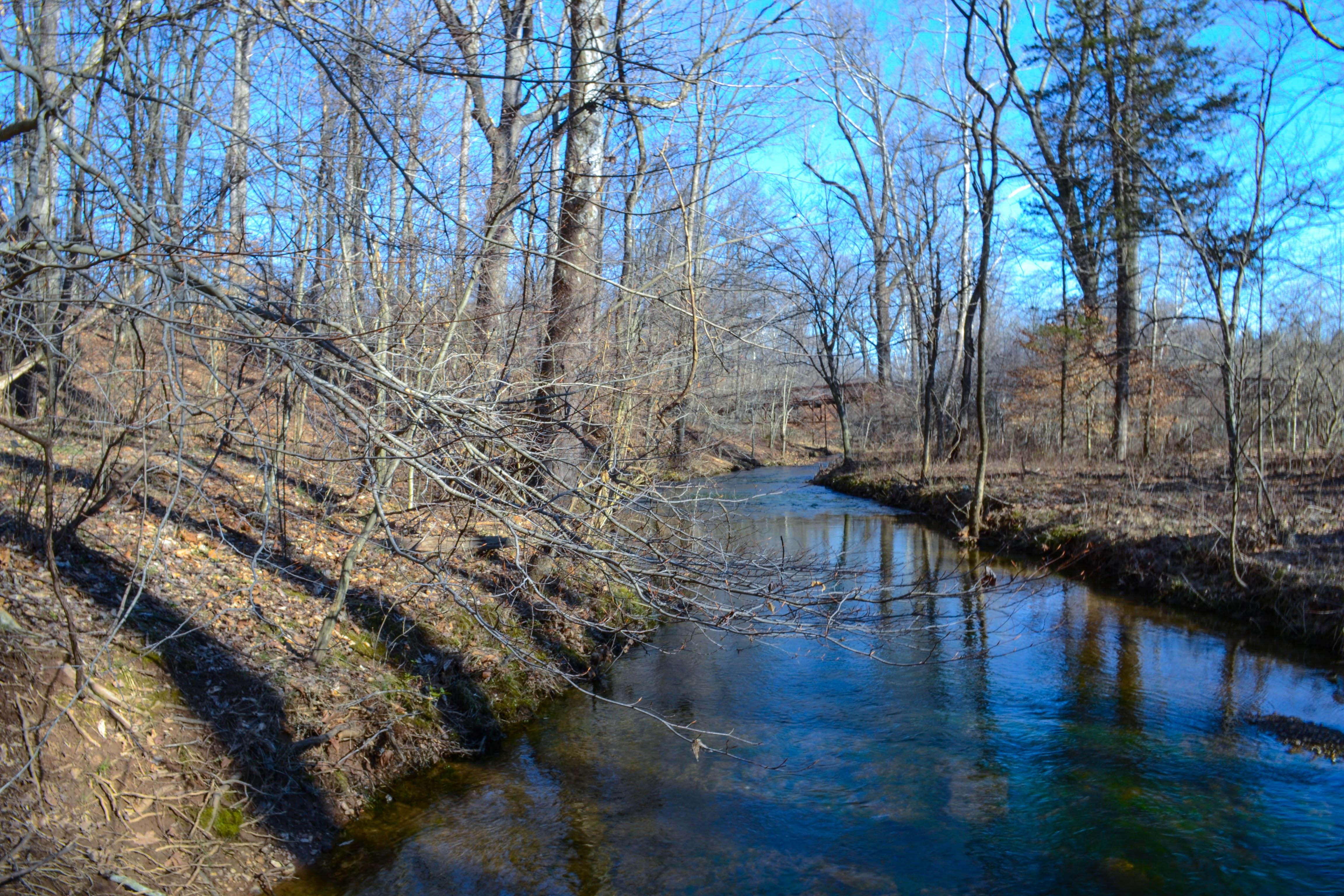 Enjoying the Beautiful Weather in Northern Virginia. r/nova