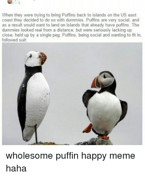 Metal Gear decoys are realistic who could've guessed. (maetel) r/tumblr