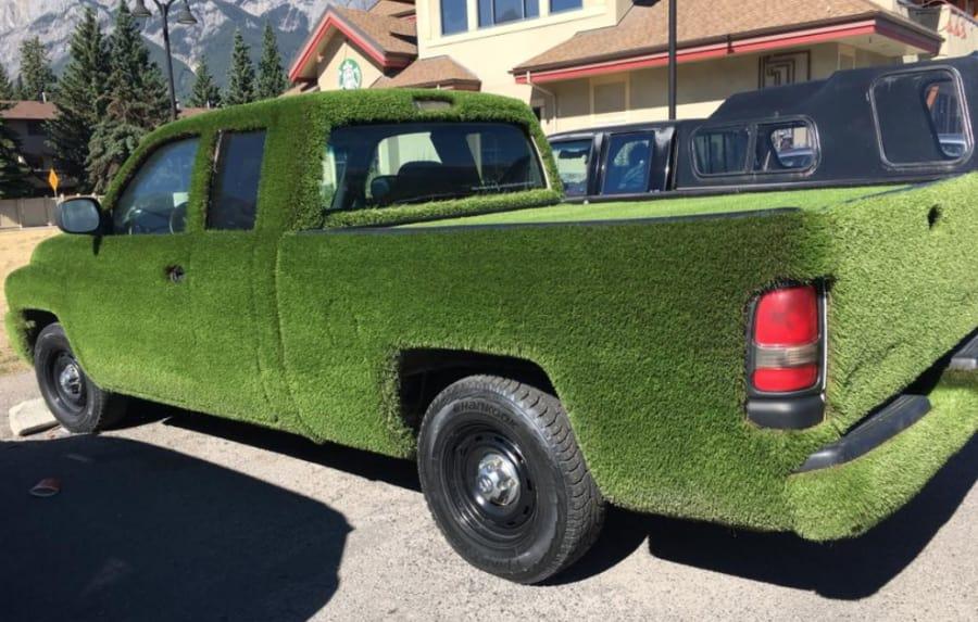 grass car