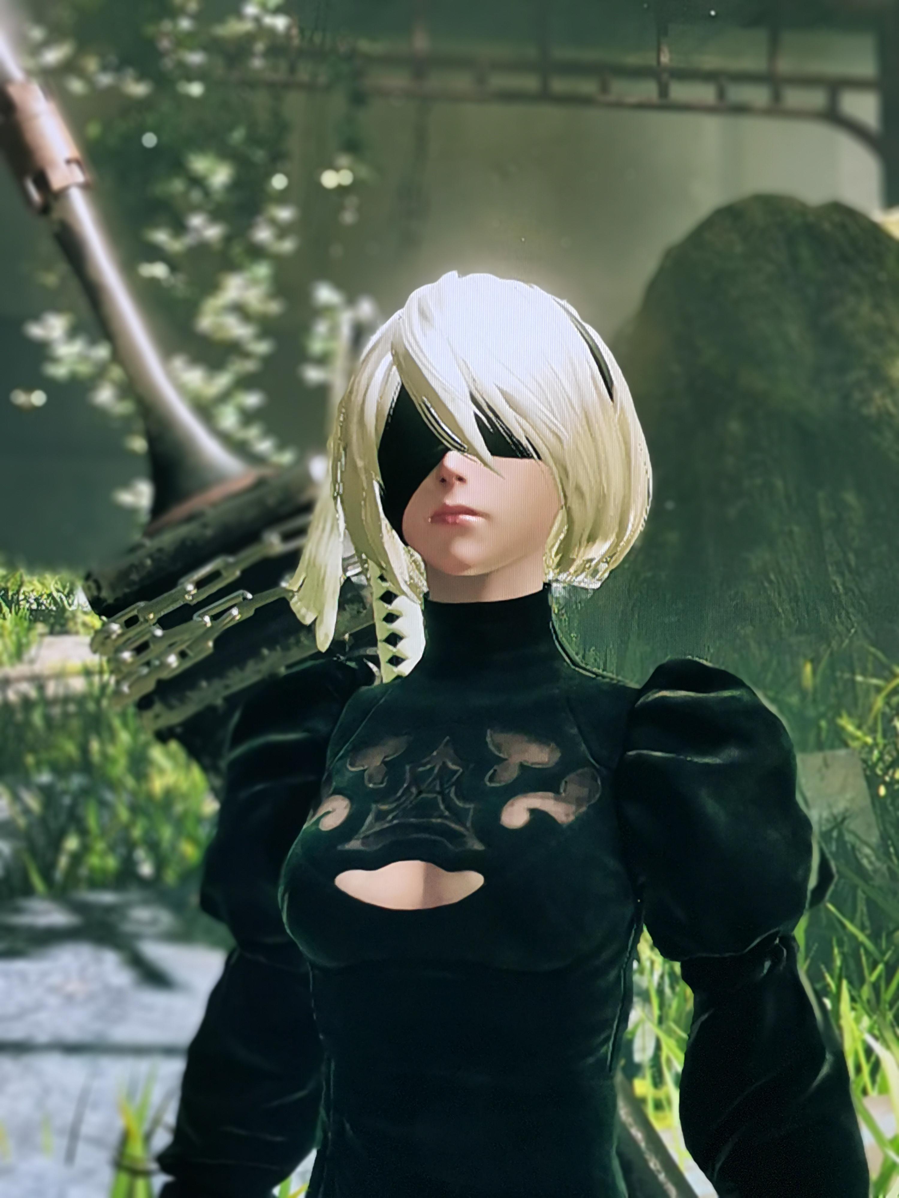 Wow I Can't believe I managed to take this picture of 2B °_° r/nier