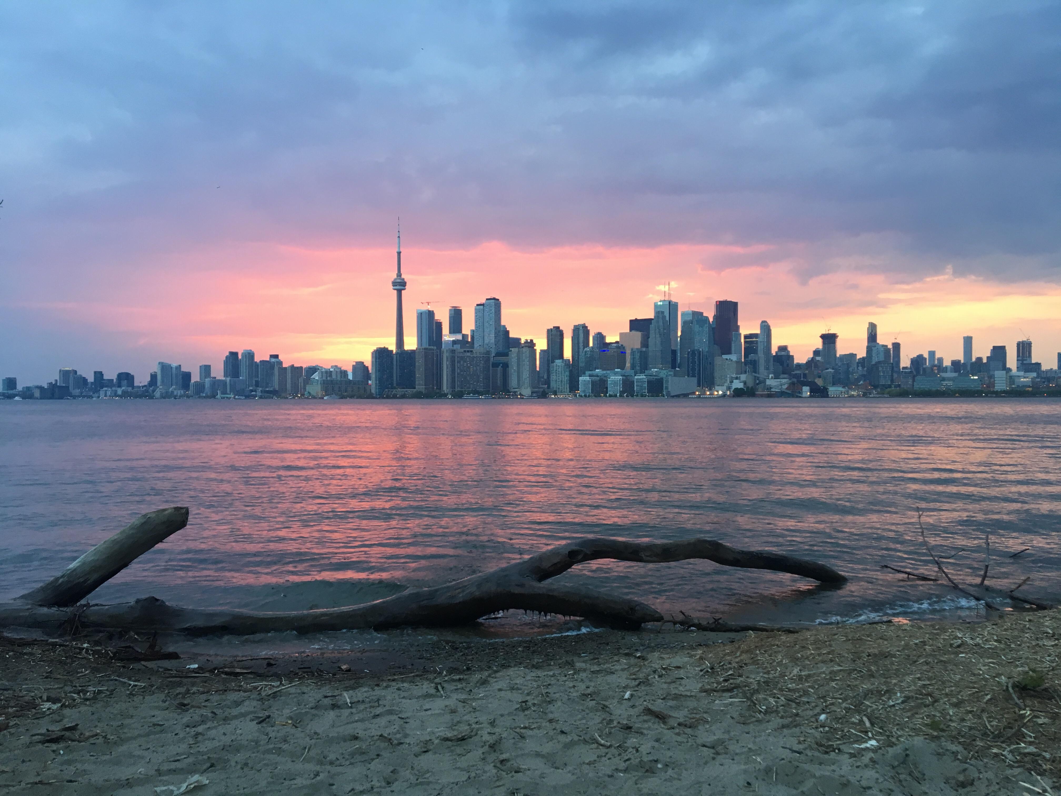 Toronto’s skyline (as seen from Ward’s Island Beach) r/pics