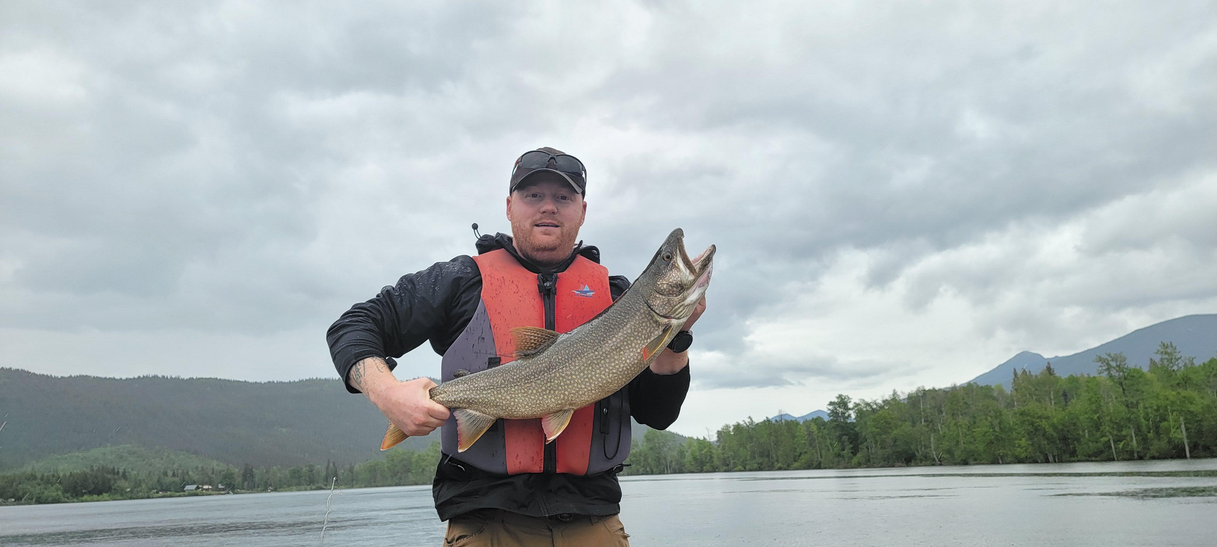 My first Laker! 12 lbs, caught trolling on a 10lbs fly rod with a leech. (Canim Lake, BC) r