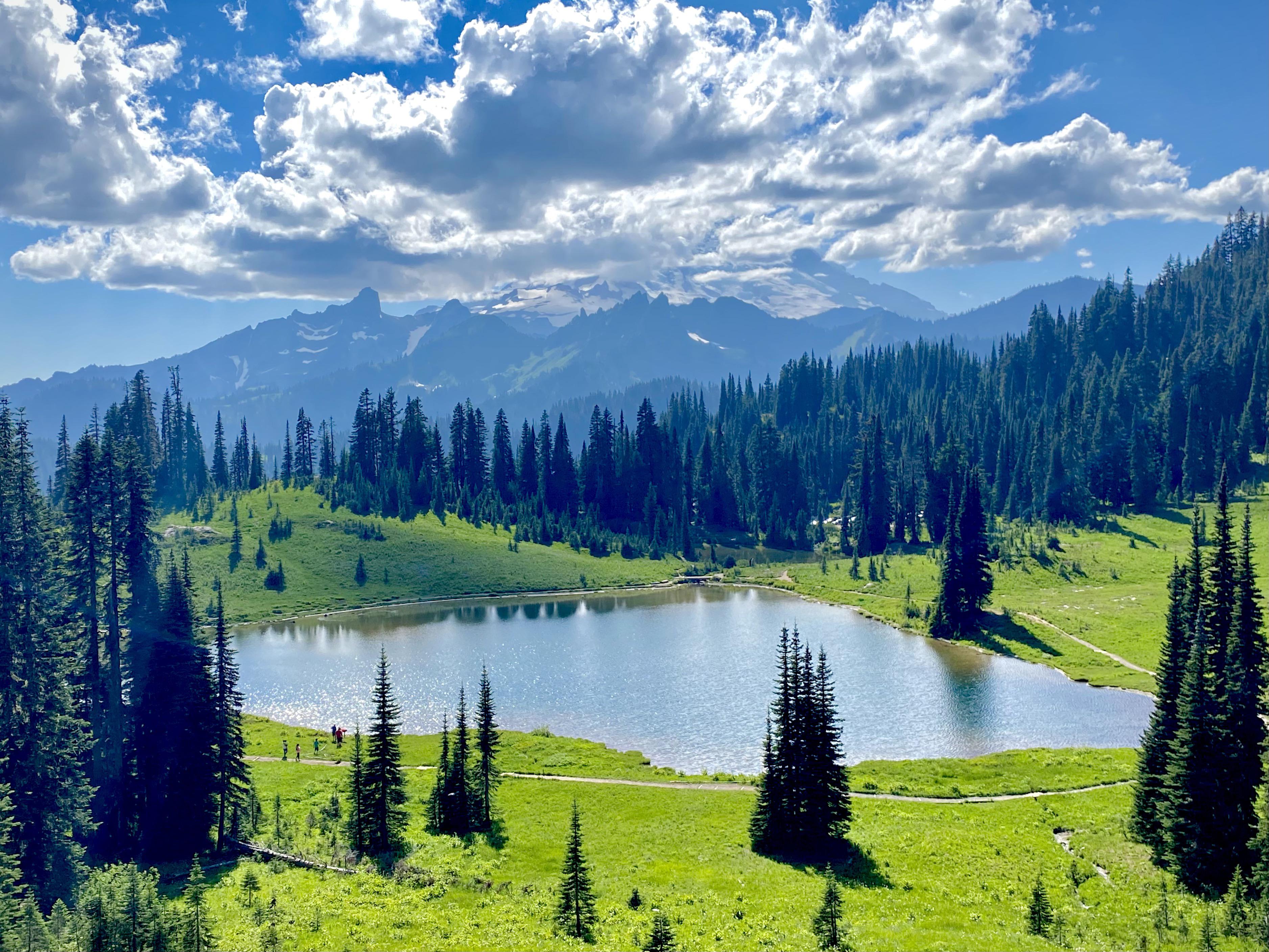 Mt. Rainier, WA r/LandscapePhotography