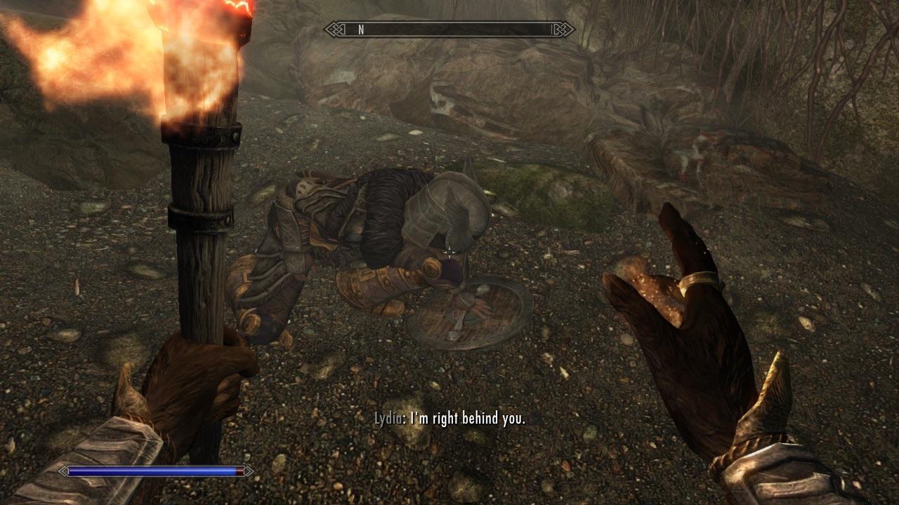 F***ing Lydia won’t stop crawling everywhere and being useless r/skyrim