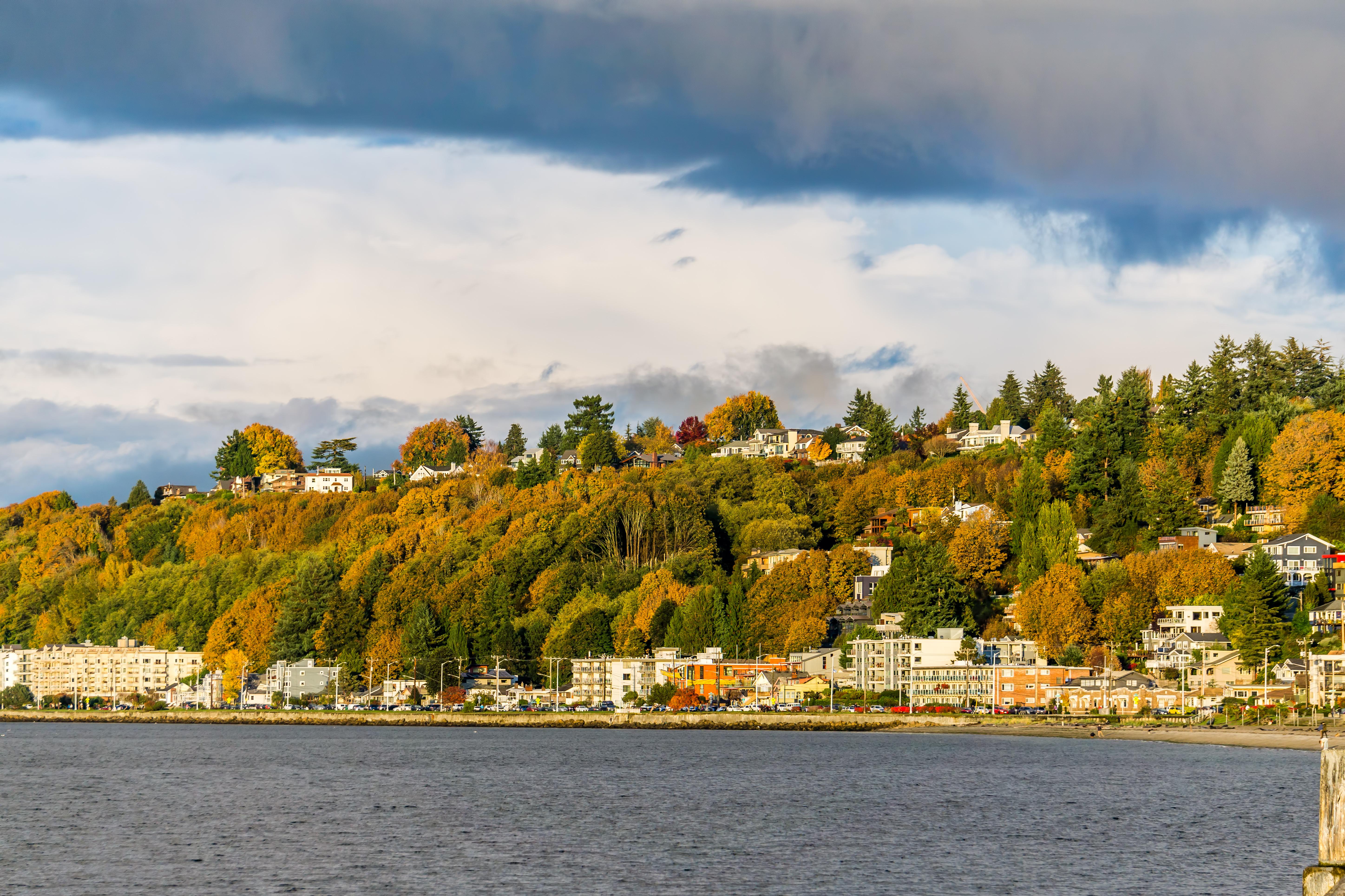 Alki Beach condos under autumn trees. [OC] r/SeattleWA