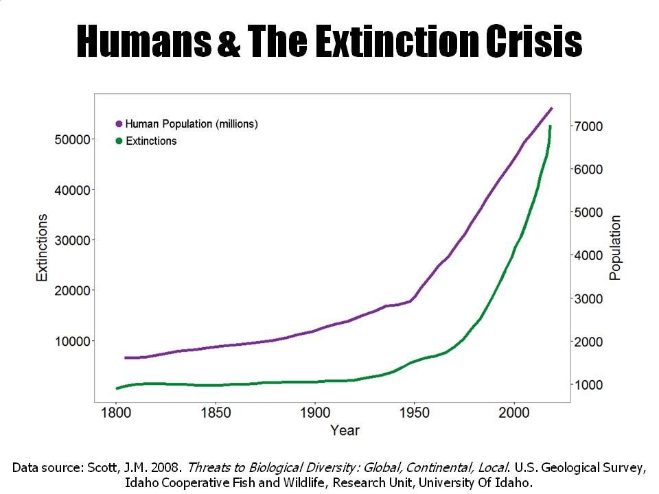Humans & The Extinction Crisis r/ecology
