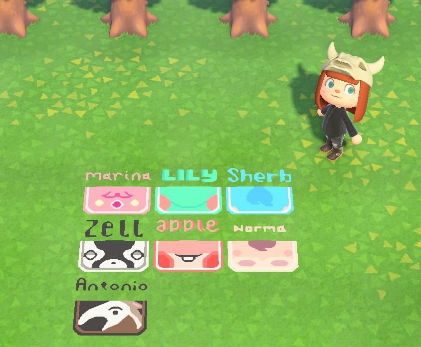 I made doormats for my villagers' homes! (MA950218667957) r/ACQR