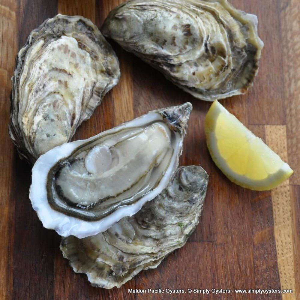 Where to buy fresh oysters that you can eat raw? r/Edmonton