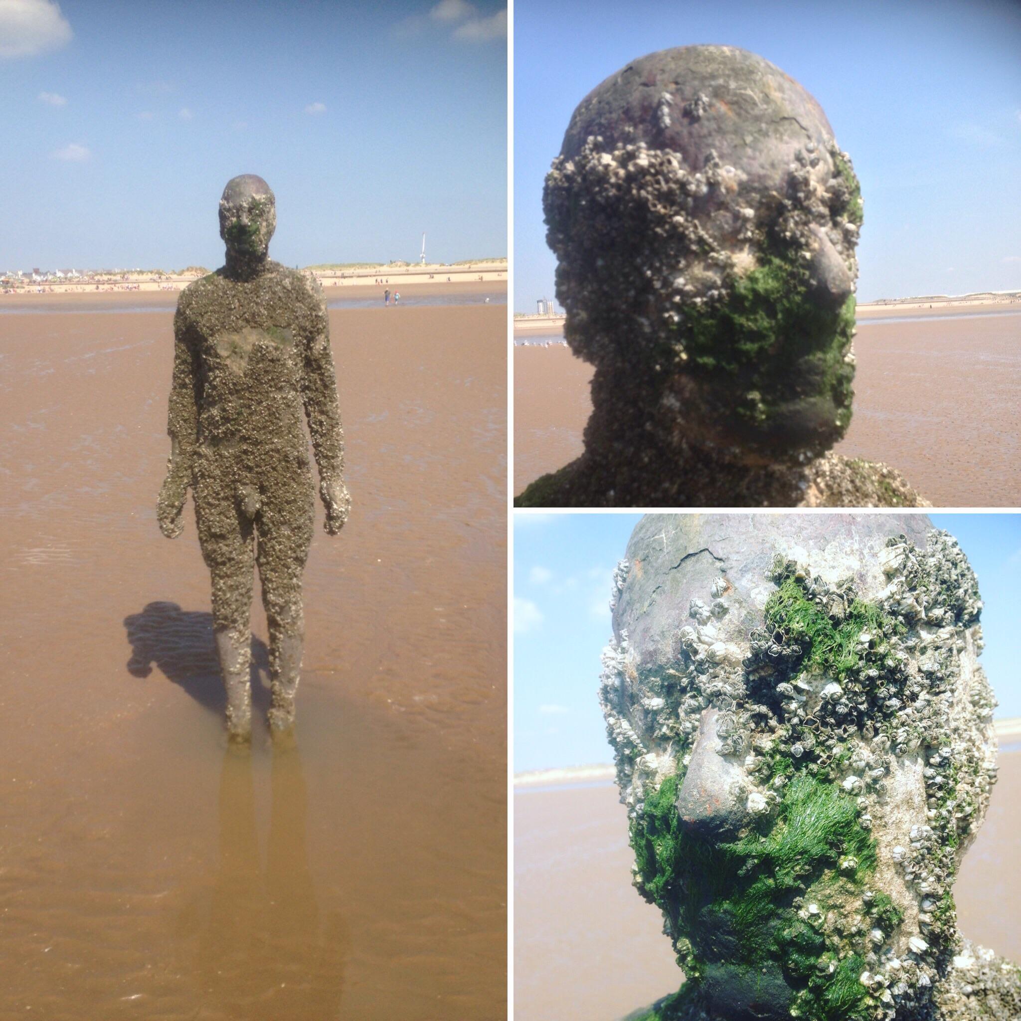 Antony Gormley’s Another Place. Crosby Beach, Liverpool, England. r