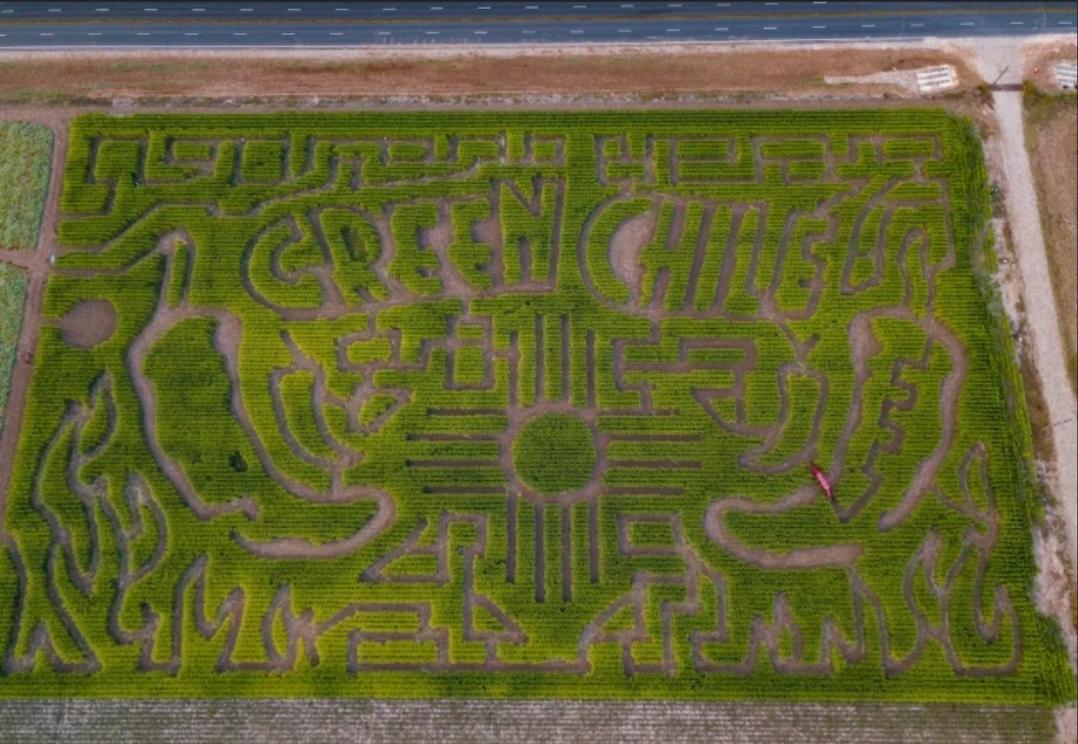 Corn Maze in Artesia NM r/NewMexico