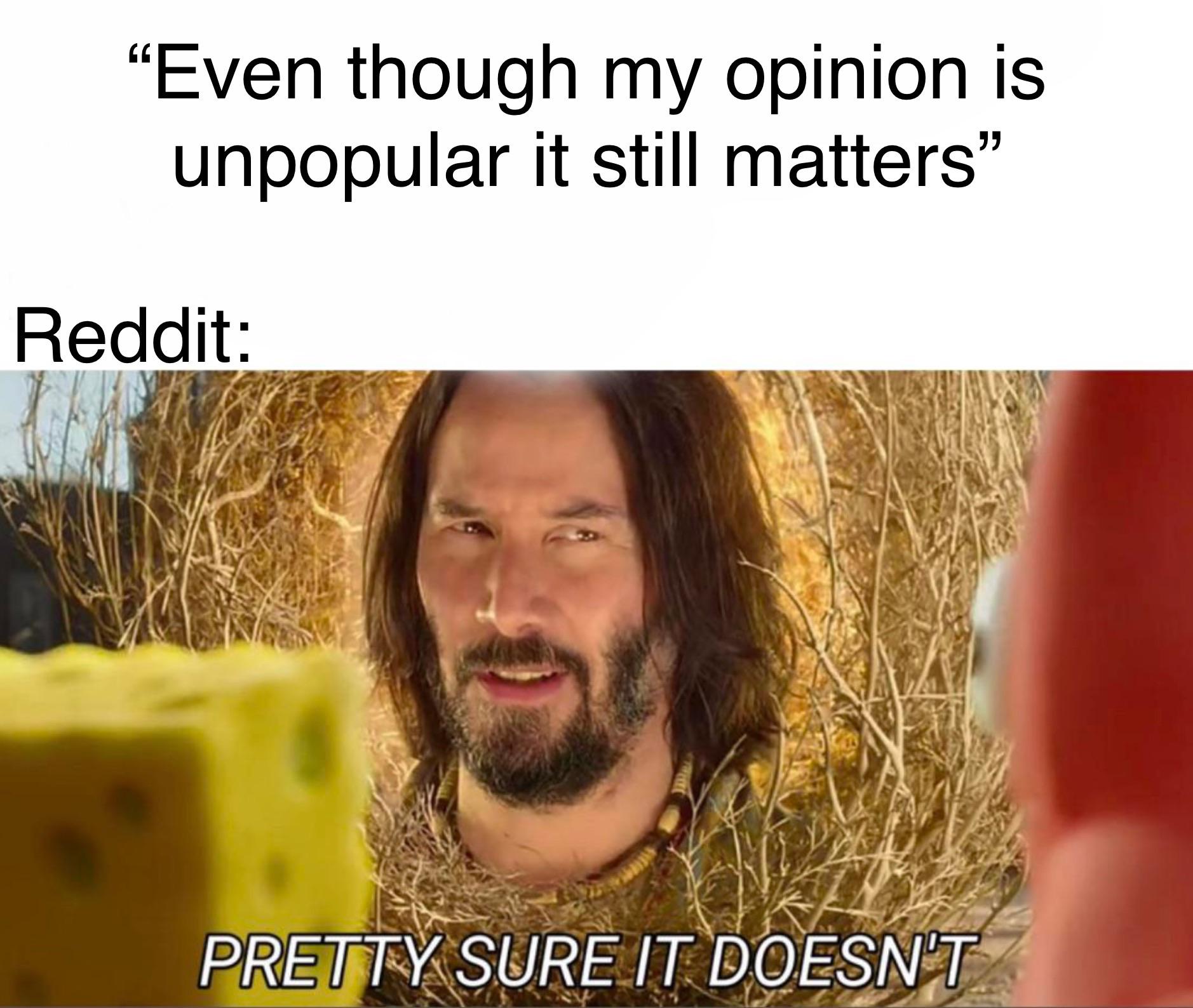 “Reddit is a community of free speech” memes