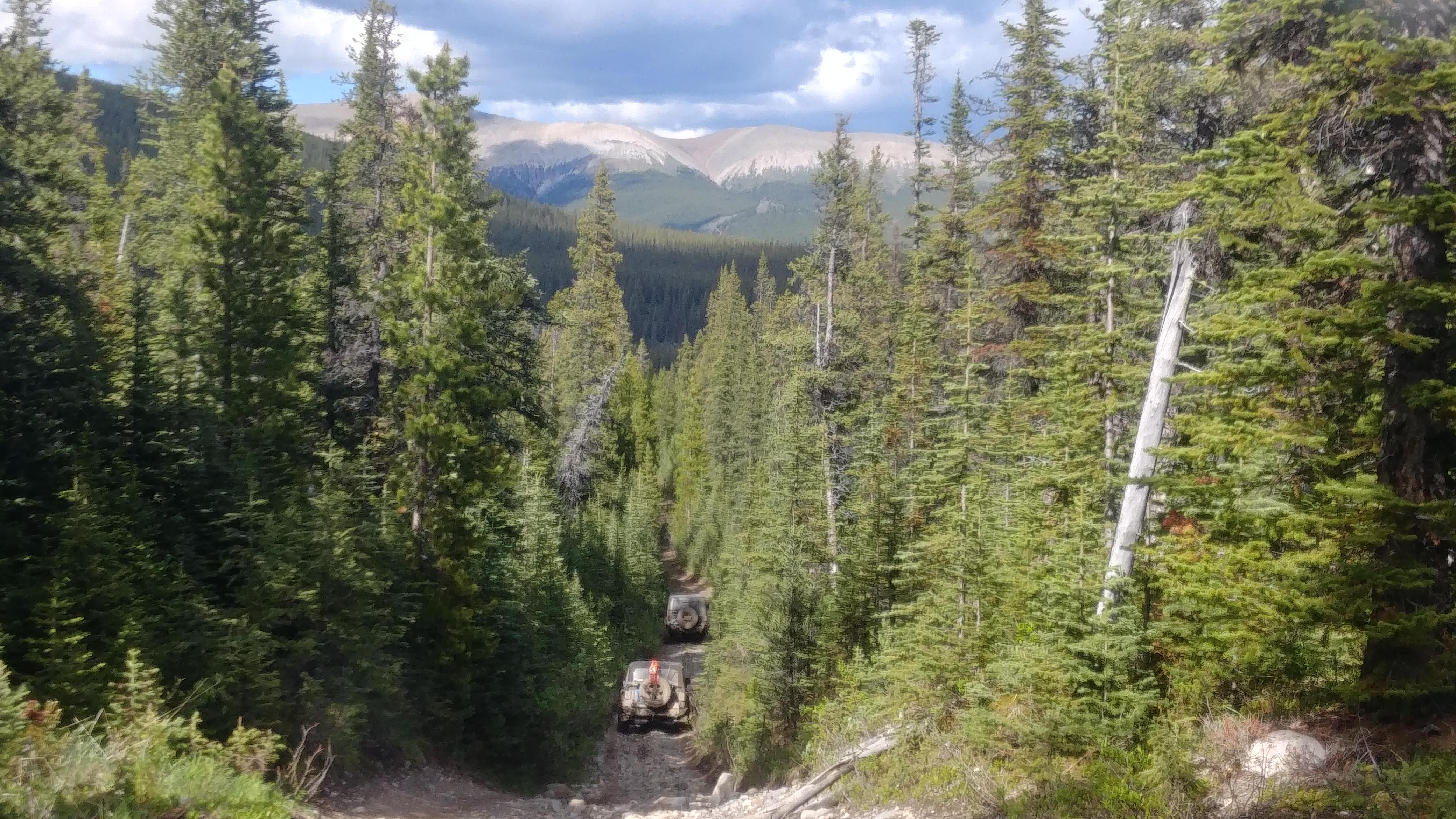 cadomin Reddit post and comment search SocialGrep