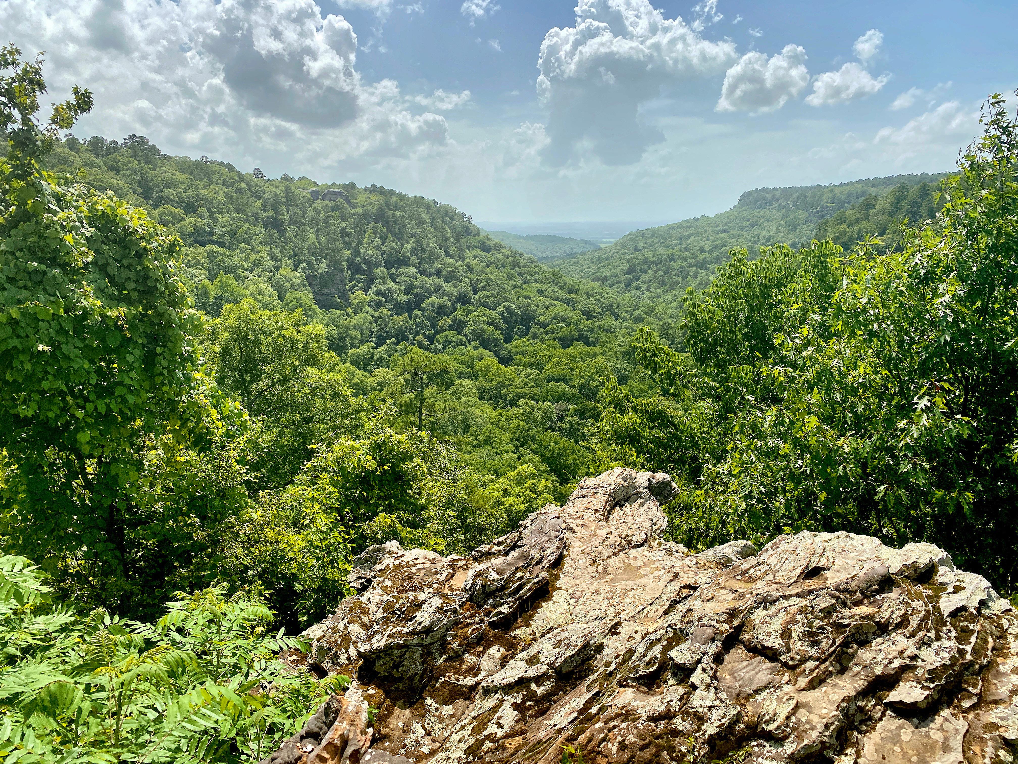 Petit Jean, Arkansas [1440x1800] [OC] r/EarthPorn