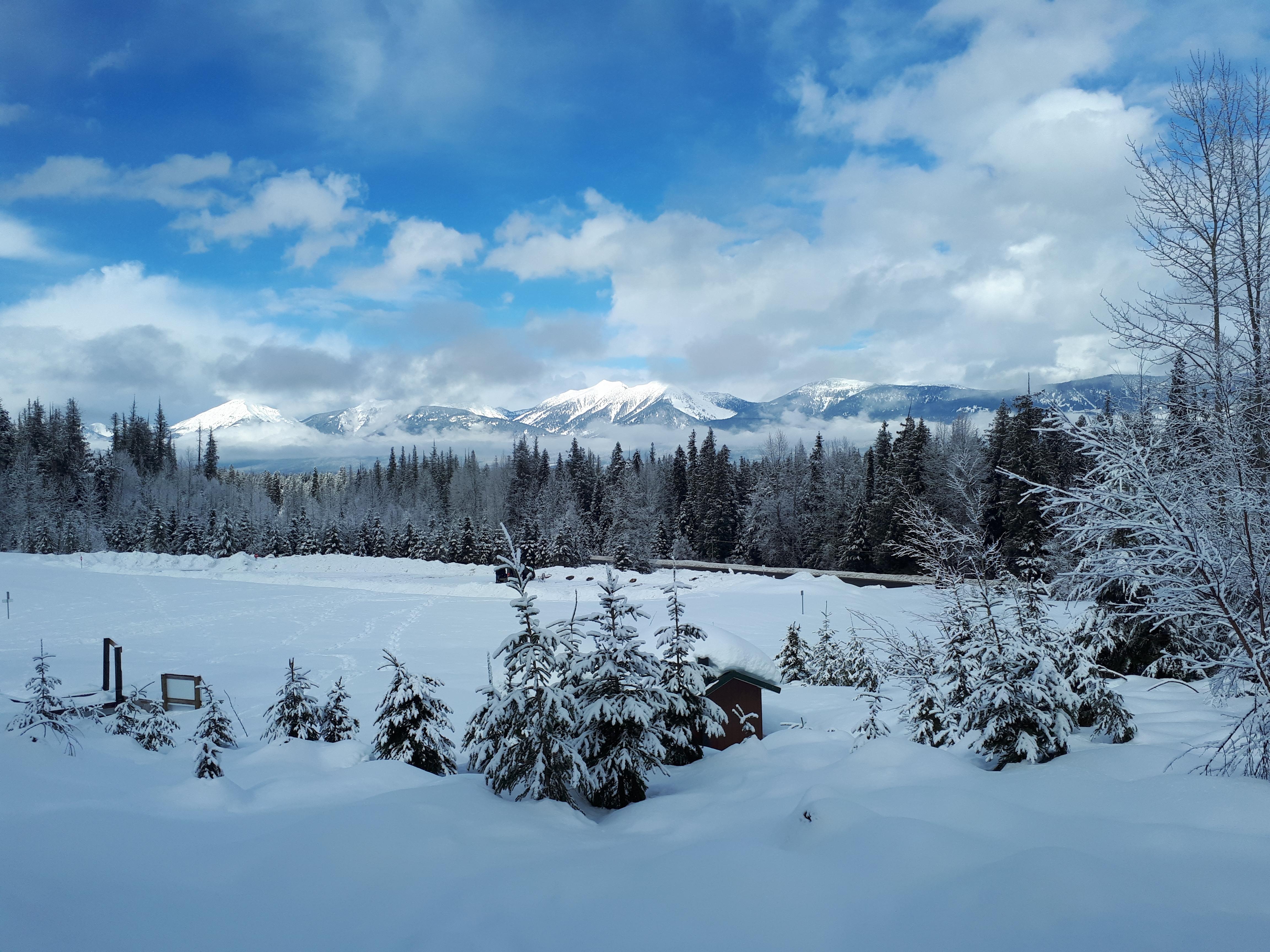 Ancient Boreal Forest, near Dome Creek, British Columbia. [4608 x 3456] r/winterporn