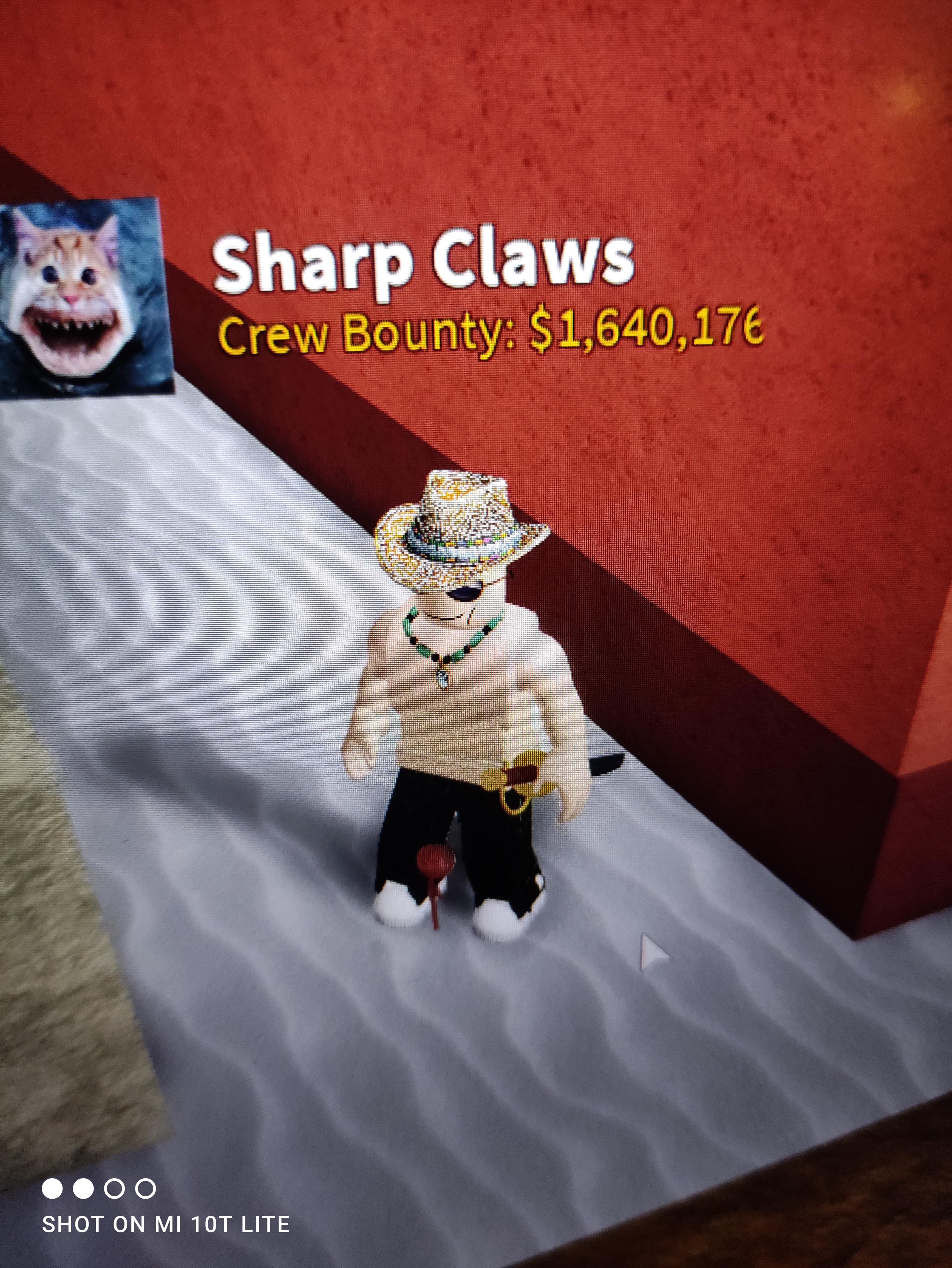 Cant pick the flower r/bloxfruits