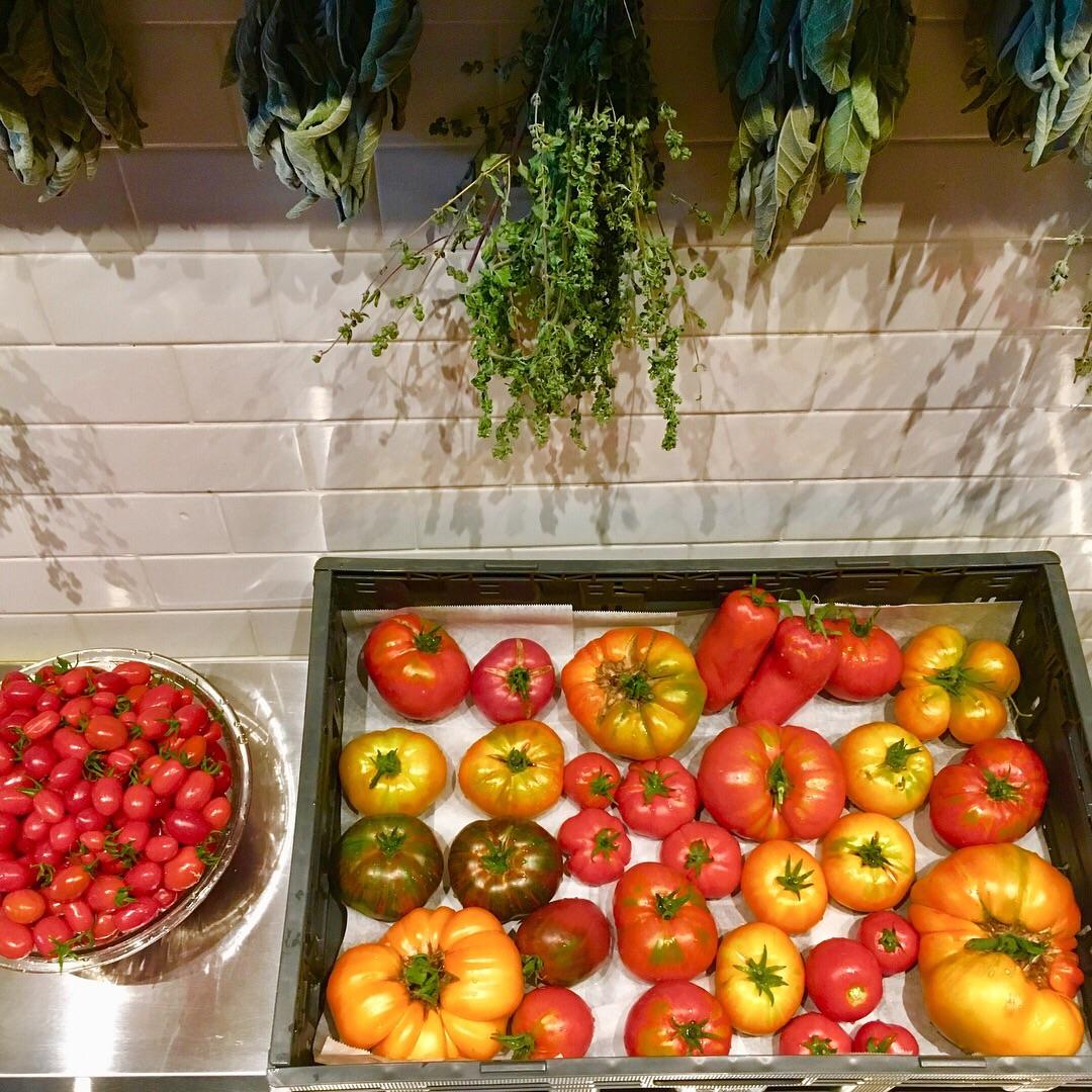 Heirlooms from the farm here in Los Gatos, CA for Enoteca La Storia