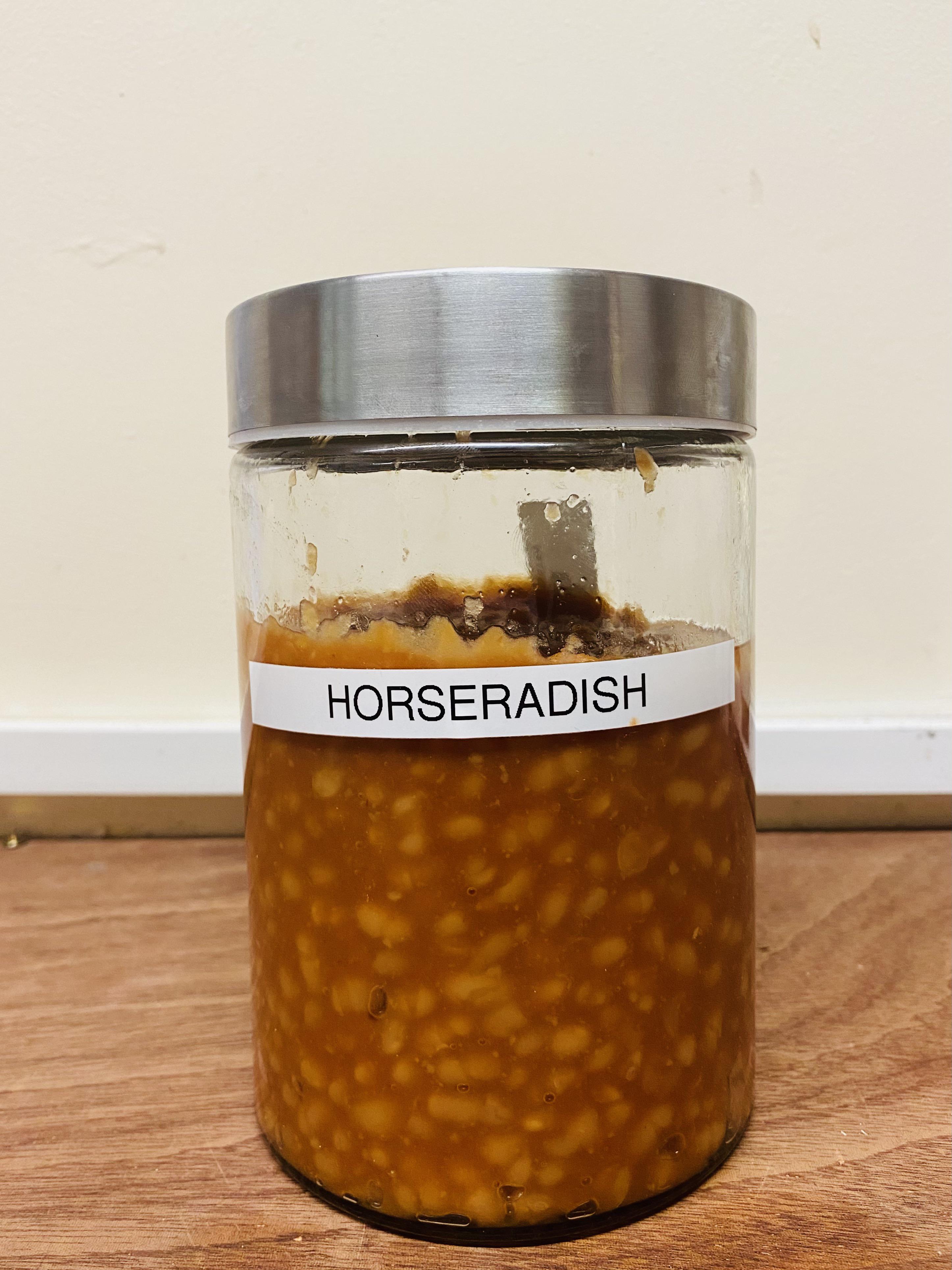 Horseradish r/BeansInThings