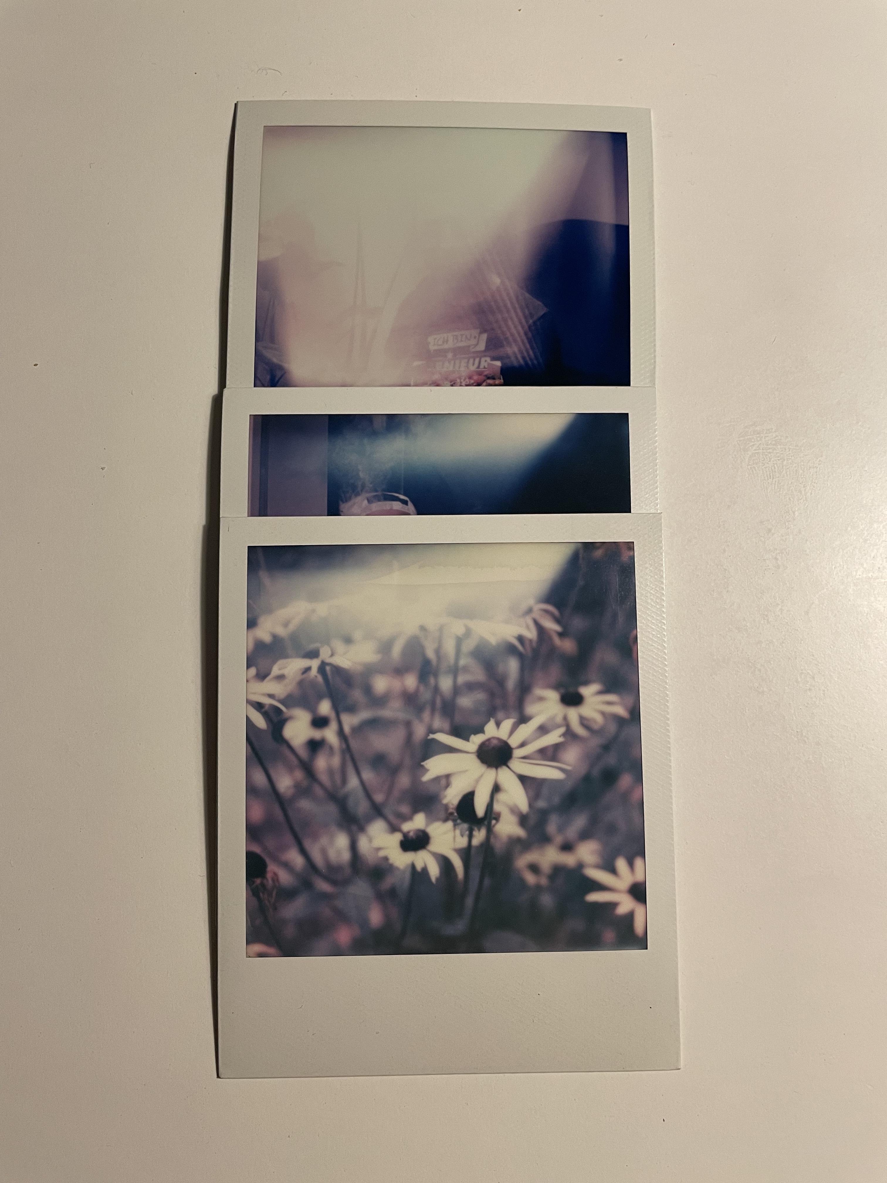 političar Pakistan imati polaroid light leak Ponekad domaćica rezanci