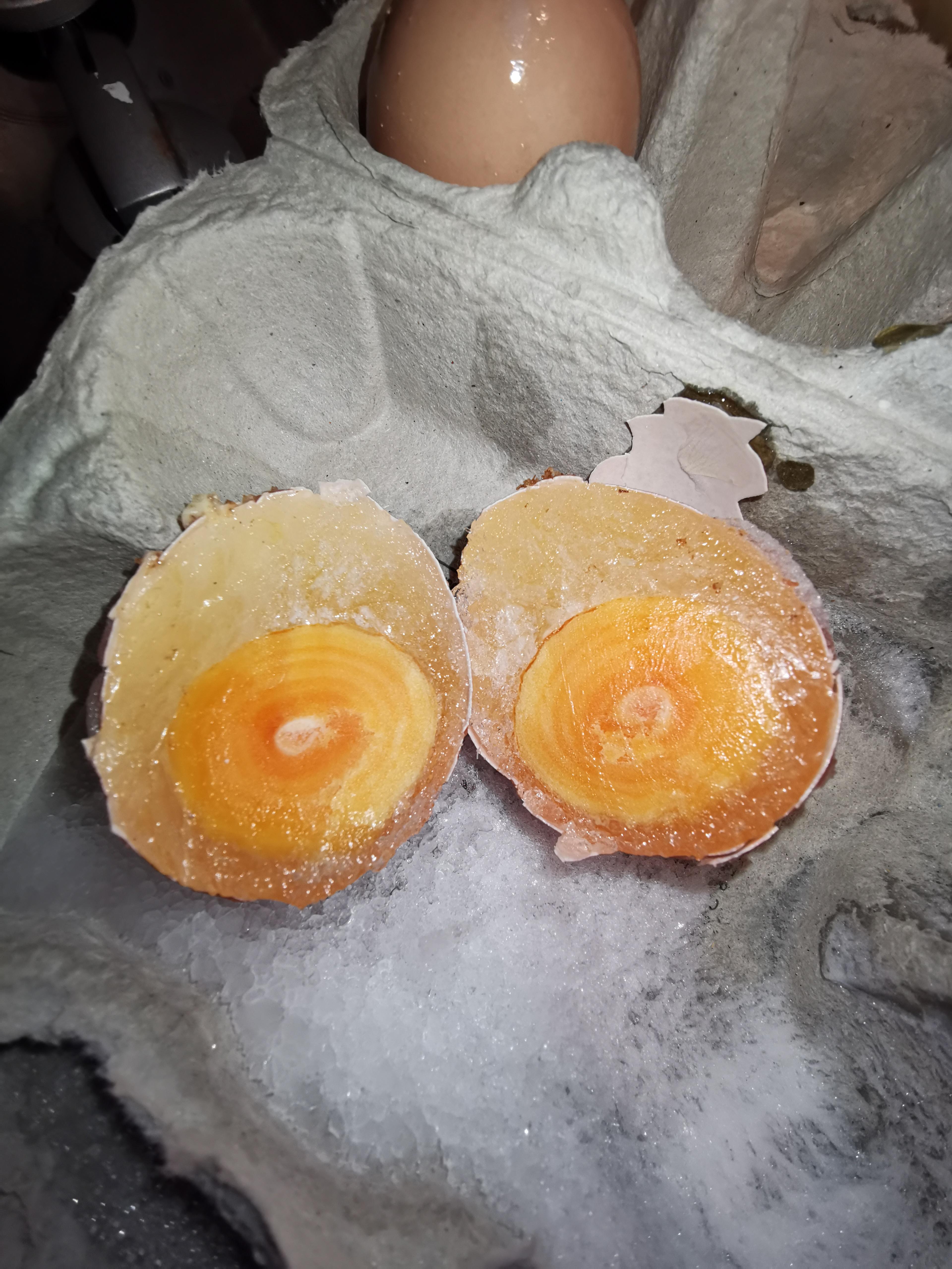 This egg froze at the back of my fridge. mildlyinteresting