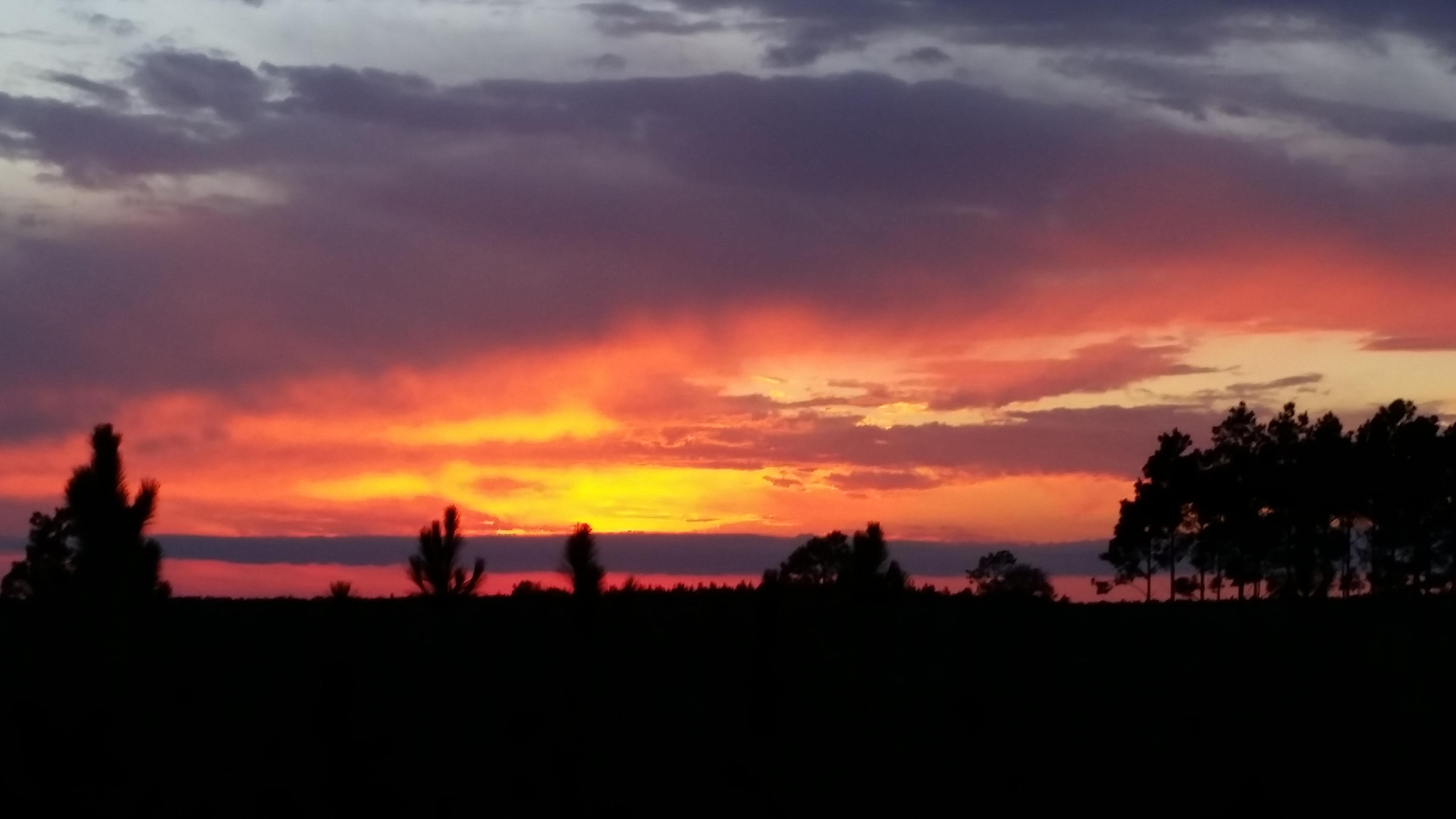 Sunset over The Big Thicket near Colmesneil, TX r/texas