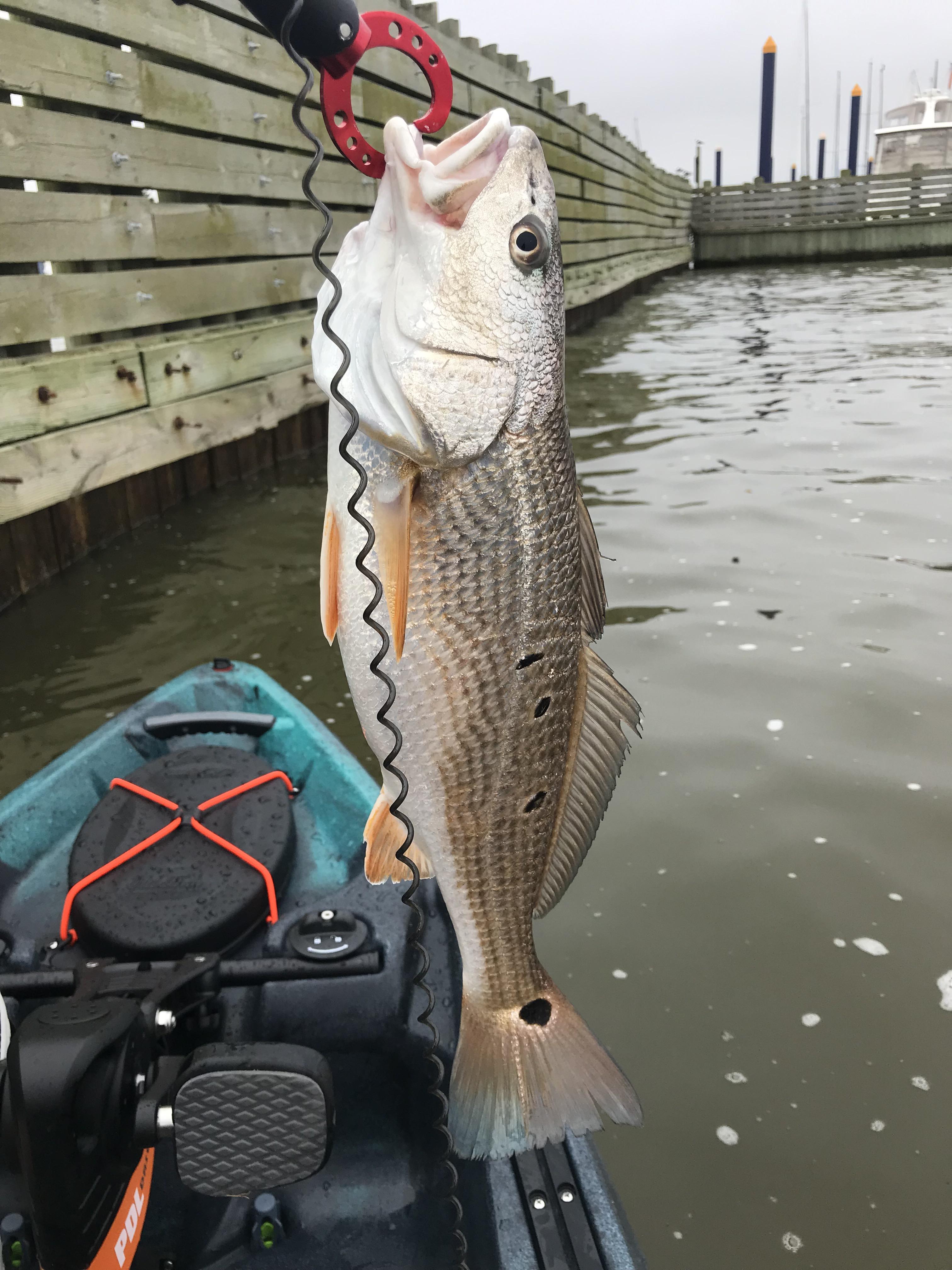 Clear Lake, TX First fish from a kayak r/kayakfishing