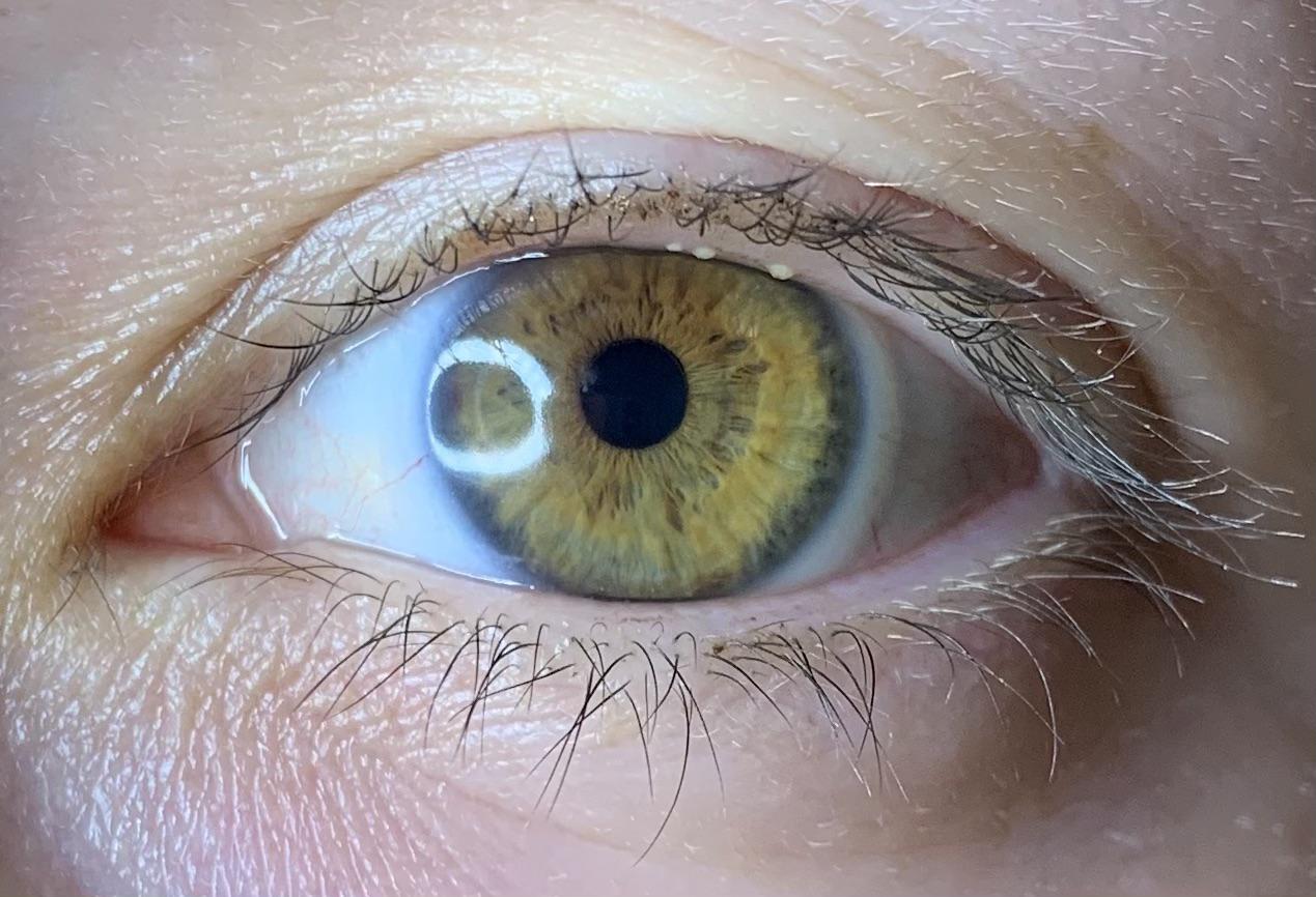 508 best Half Asian images on Pholder Mixed Race Girls, Asian Ladyboners and Realasians