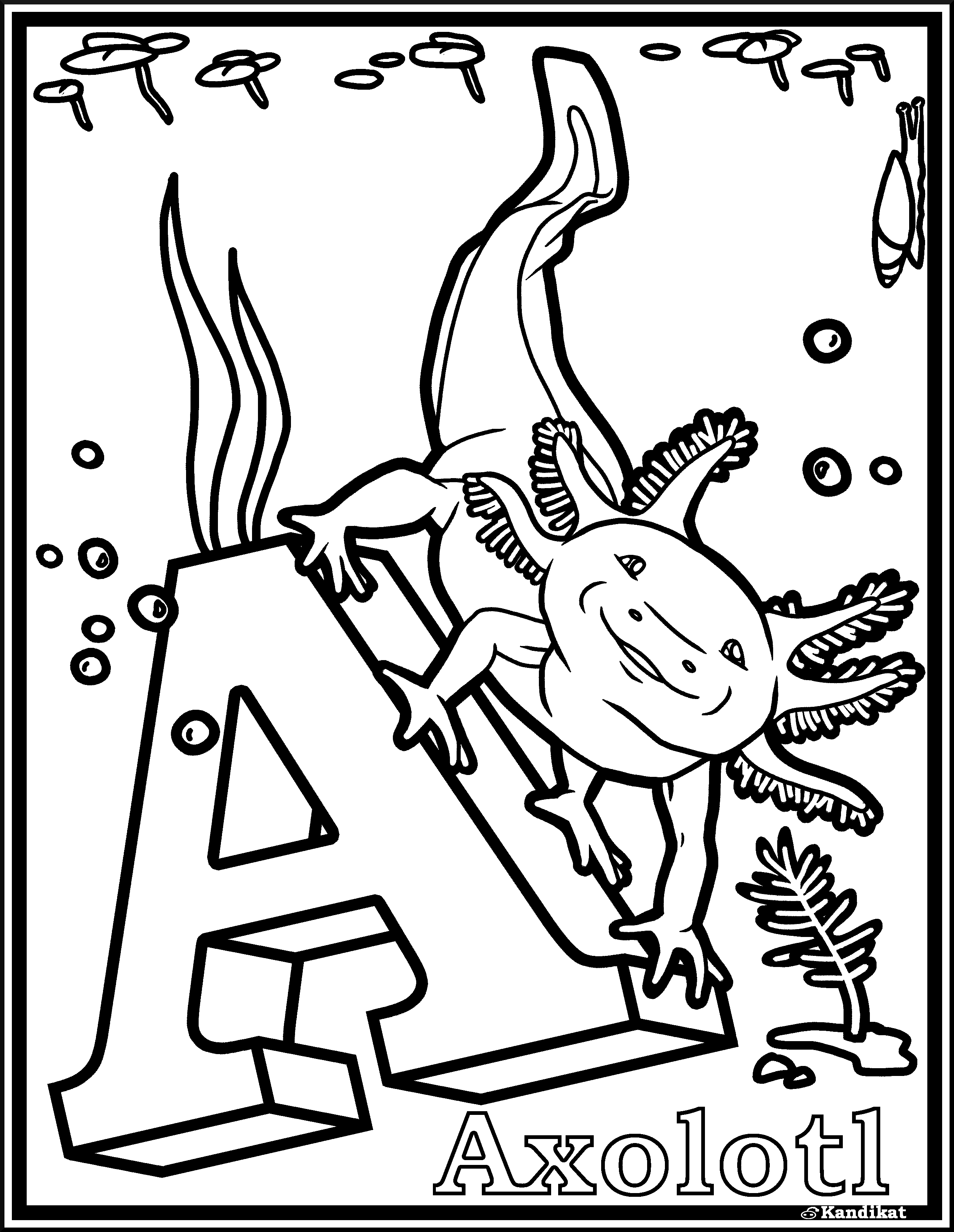 A is for Axolotl coloring page I drew for yall r/axolotls
