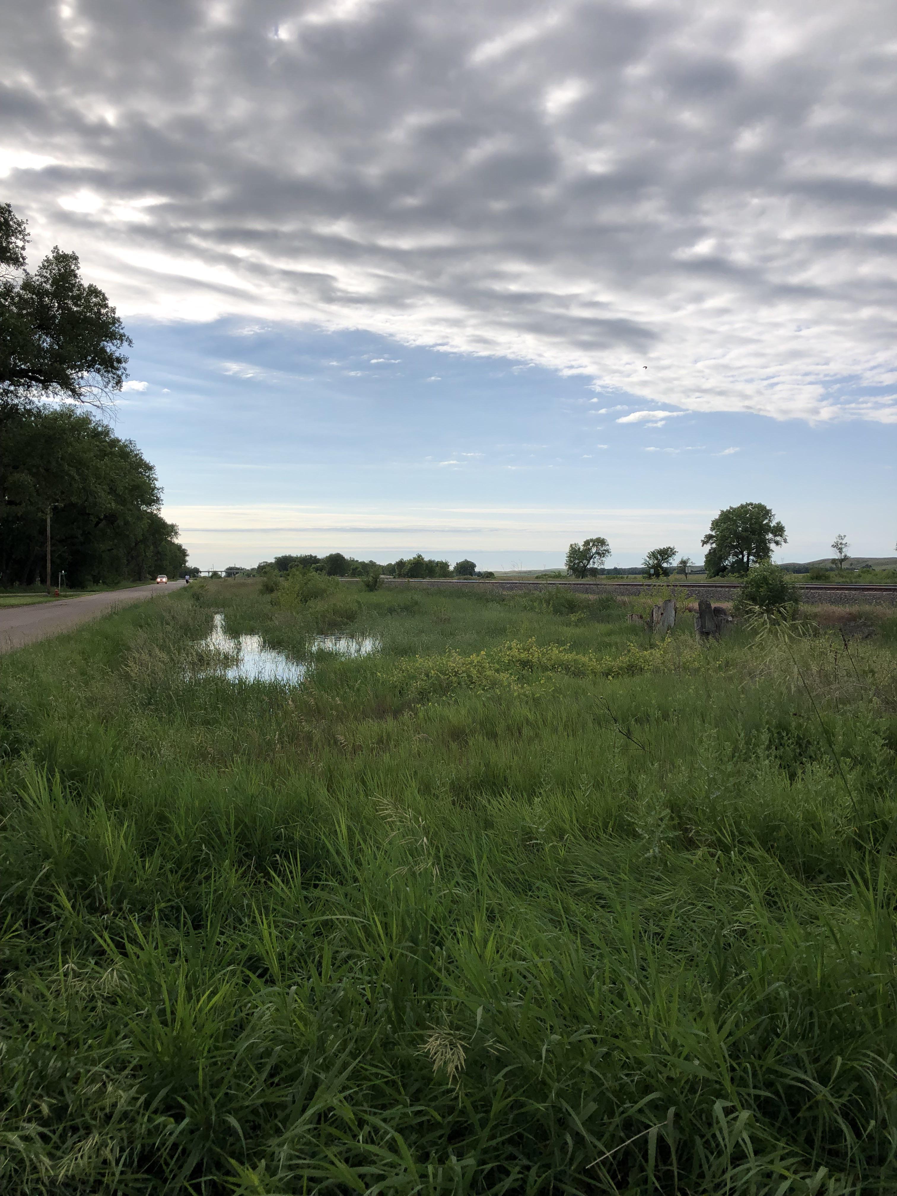 Little creek by the tracks — Maxwell, NE — June 2019 r/Nebraska