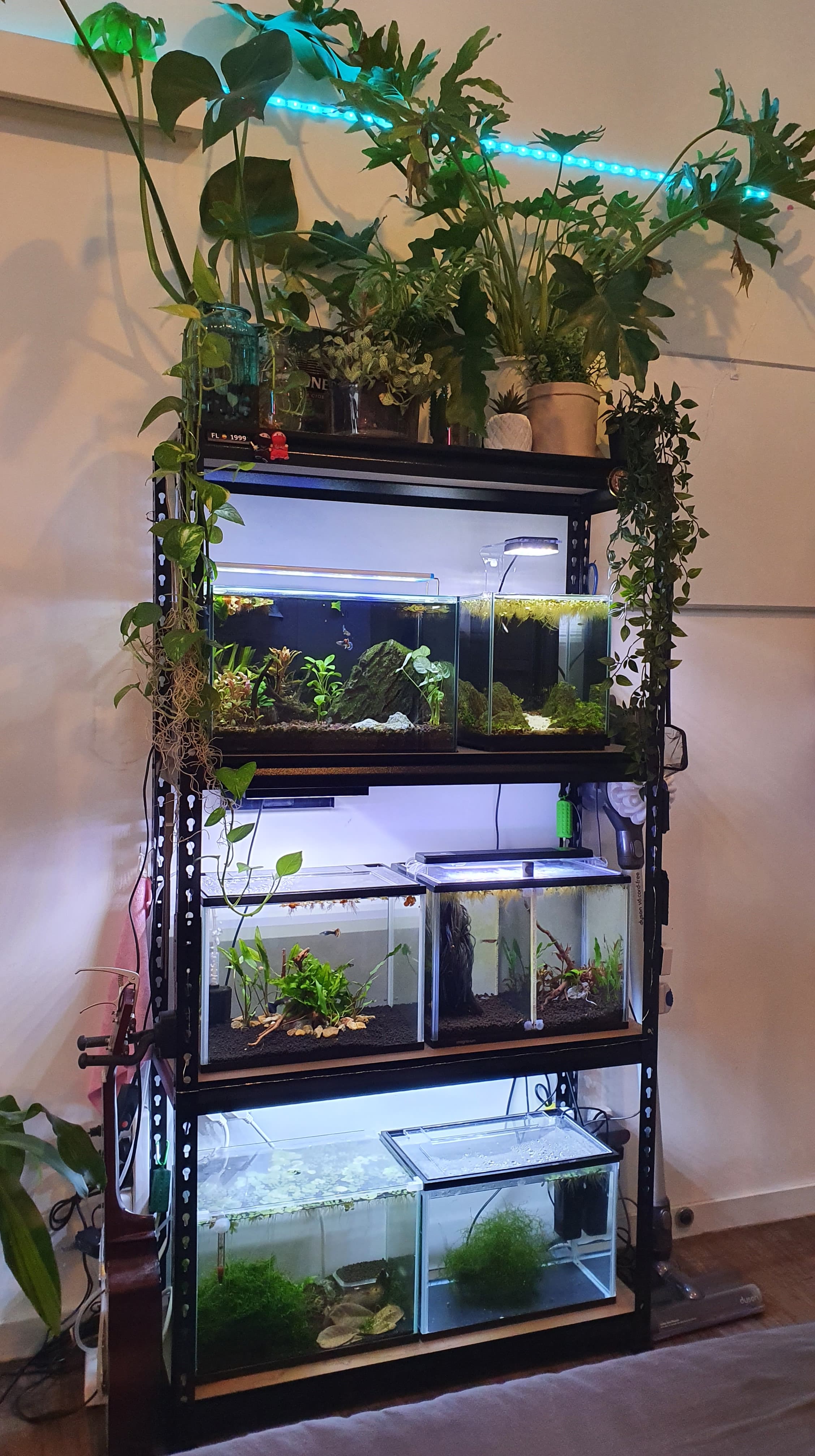 Started with one a year ago, now I have my dream rack in my uni