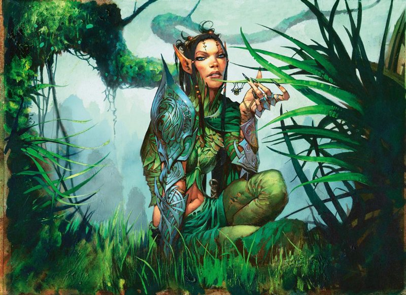 Druid of the Anima by Jim Murray ImaginaryDruids