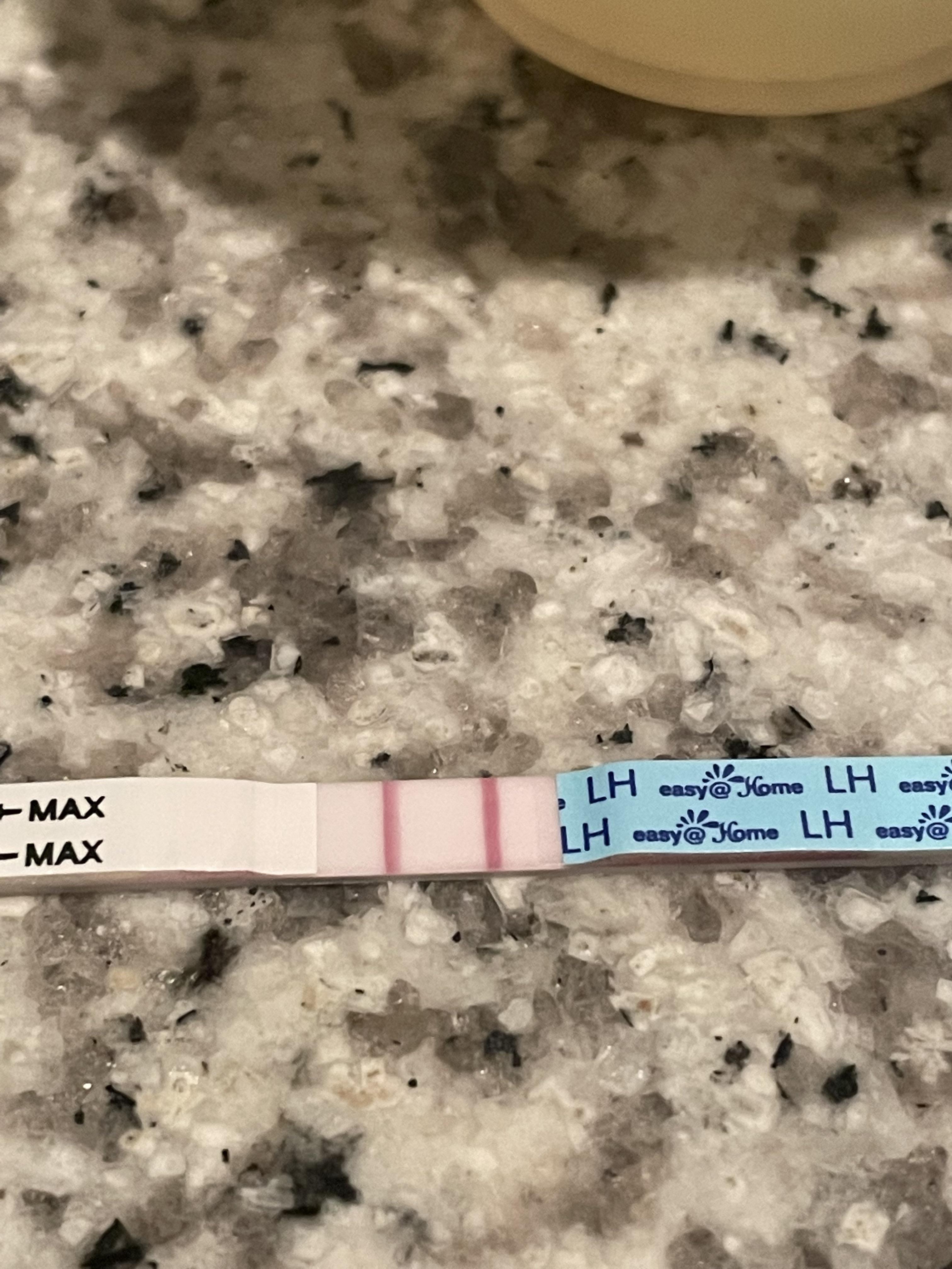CD13, is this a positive ovulation test? Easyhome brand ) r