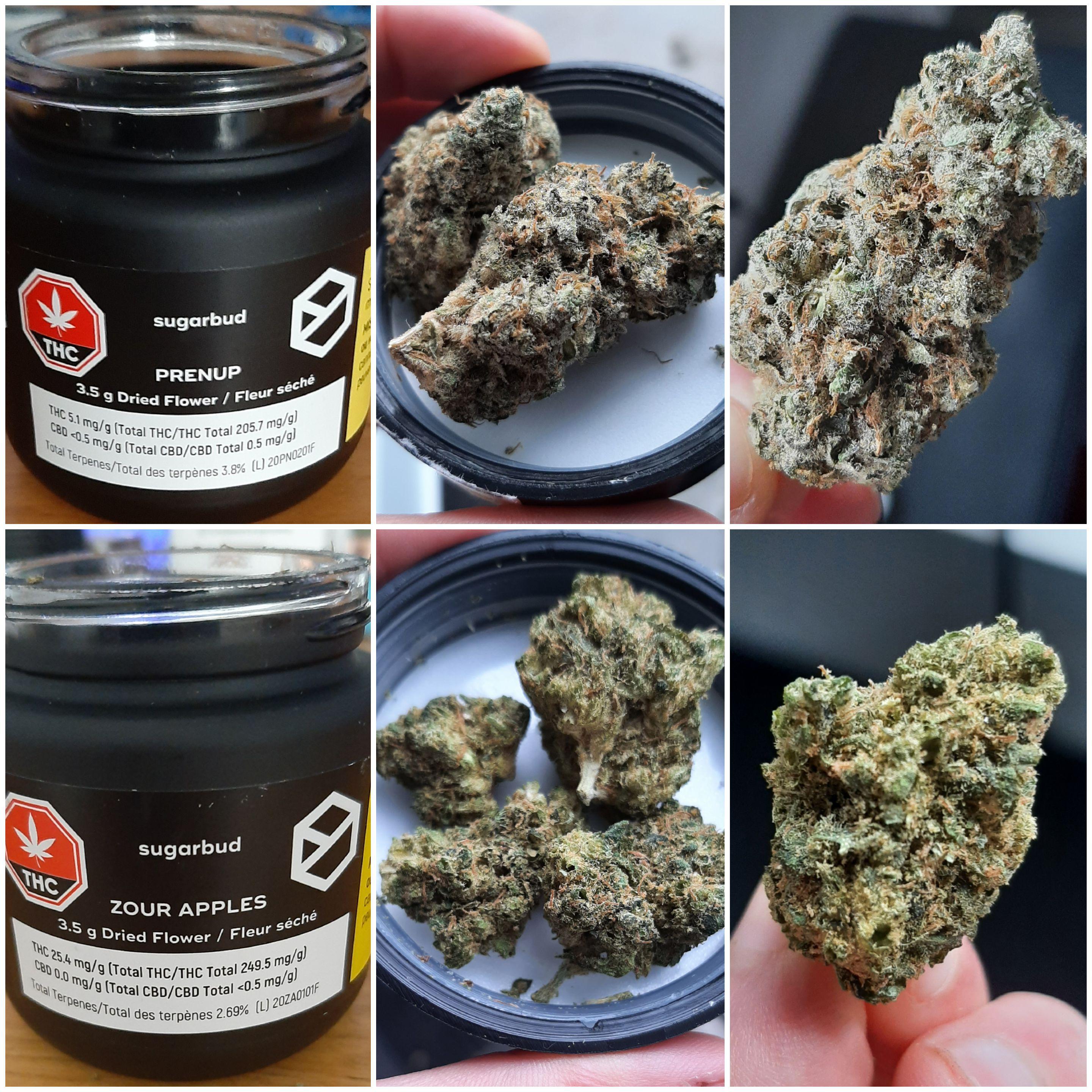 Sugarbud brand via Cannmart 3.5 of Prenup (Wedding Cake x