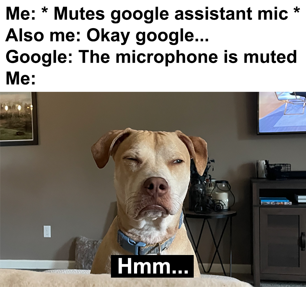 Interesting... memes