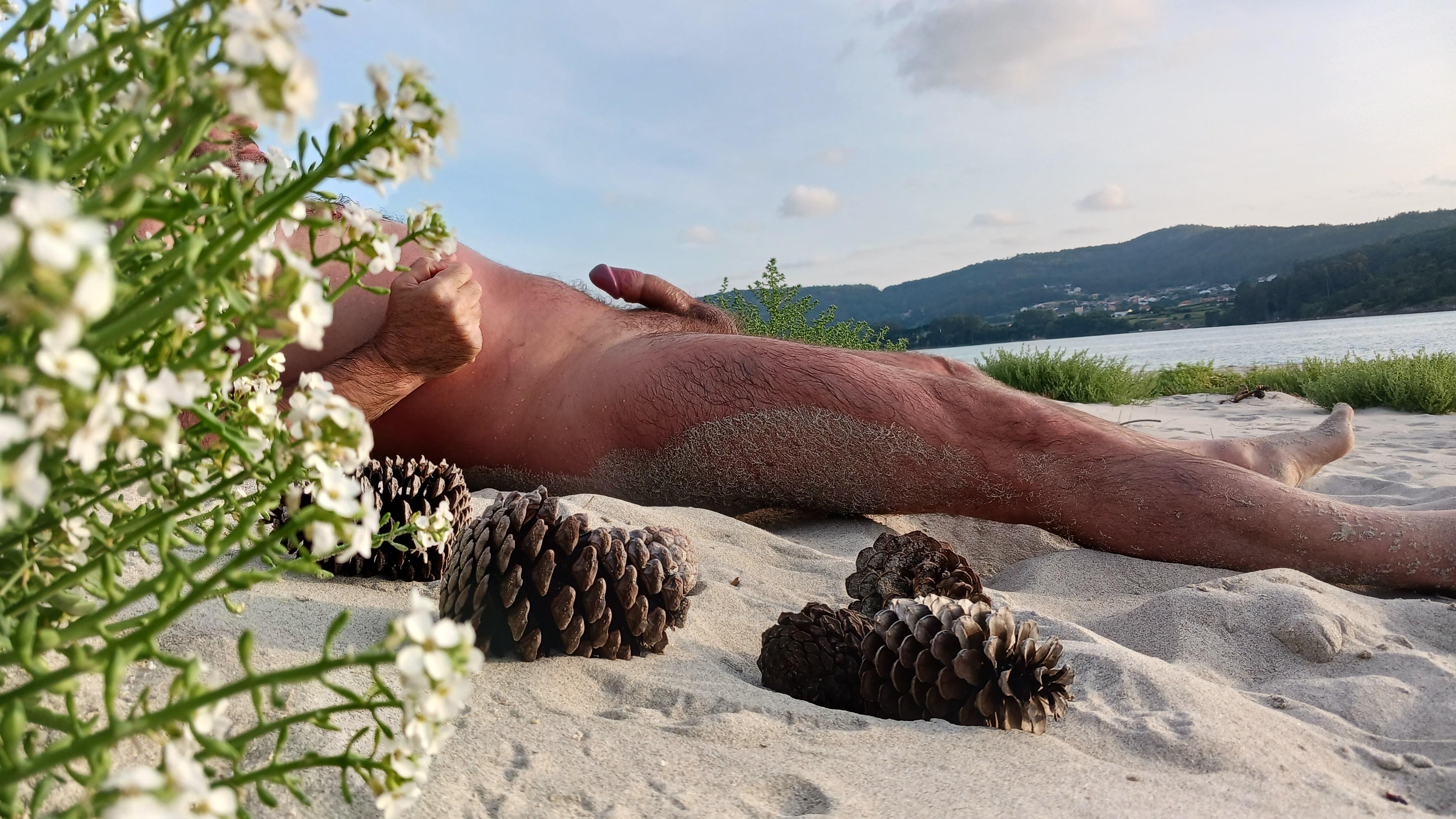 Beach boner, sunbathing : BonersInPublic