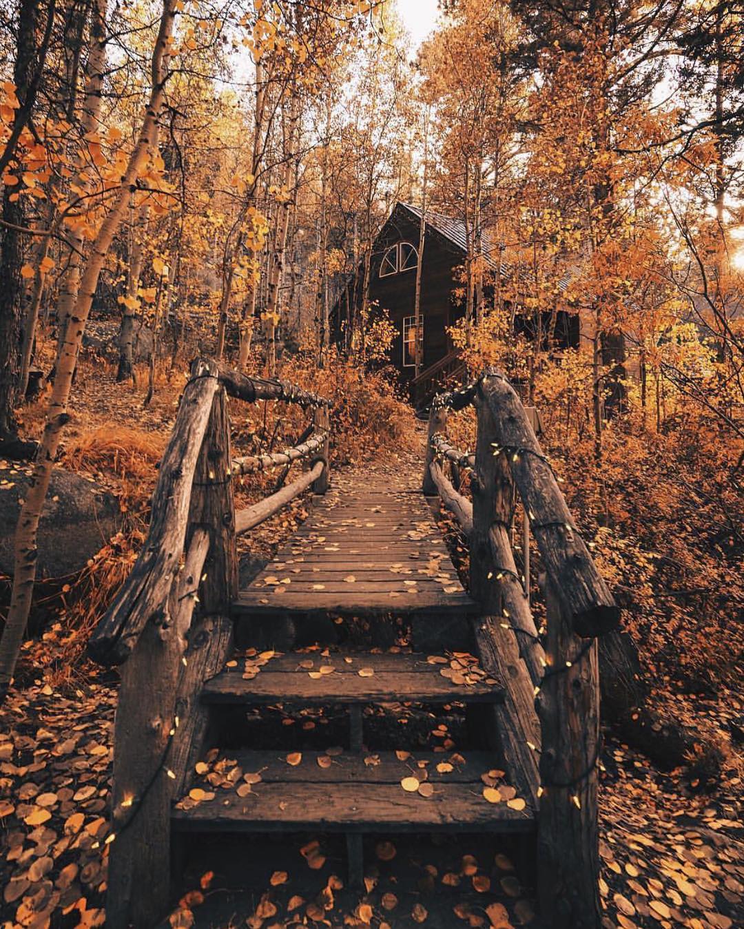 The perfect place to enjoy the autumn colours. r/CabinPorn
