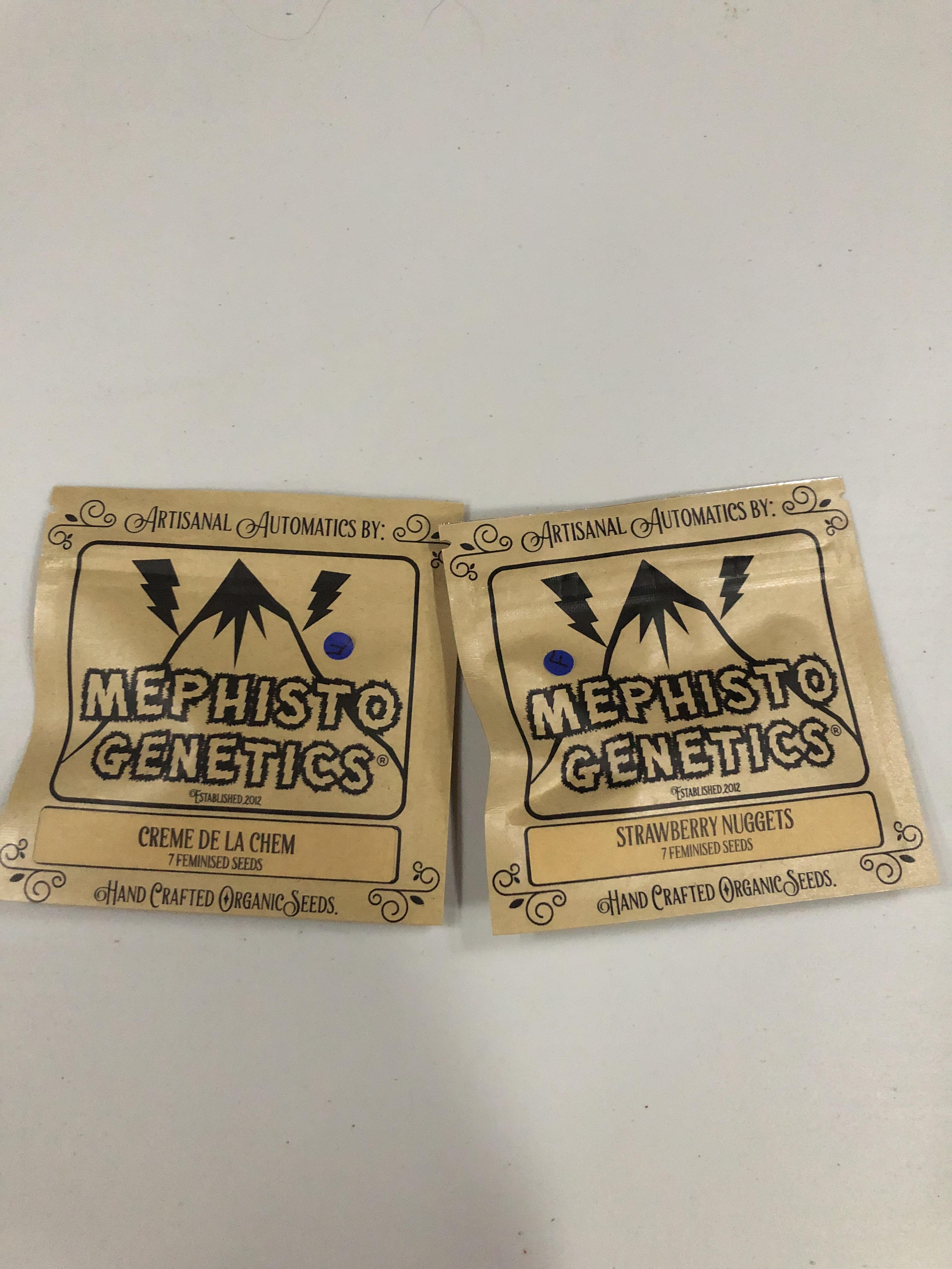 Seed Cellar Reddit Home and Garden Reference