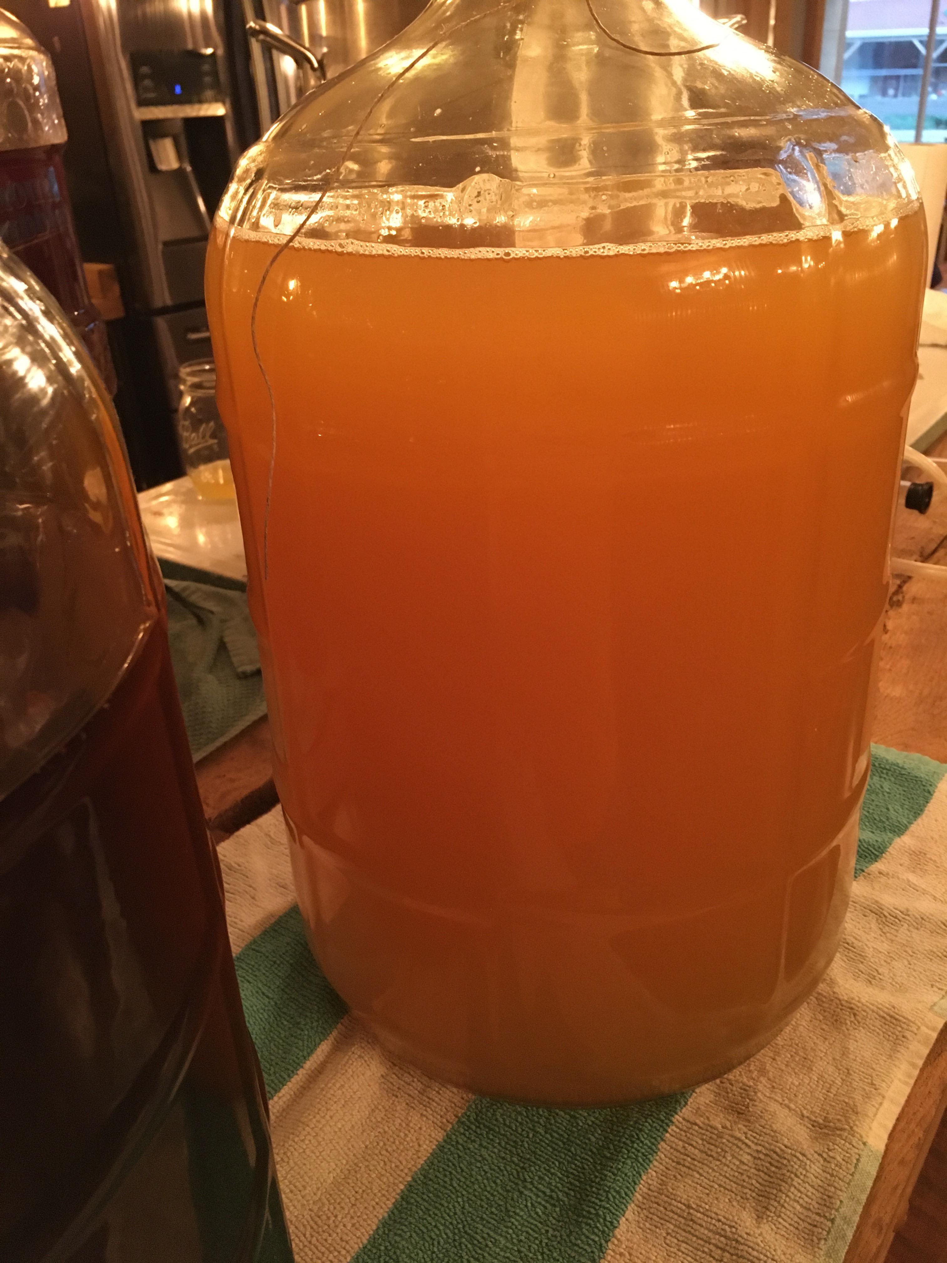 Just finished primary and racked to secondary.I want to try flavoring