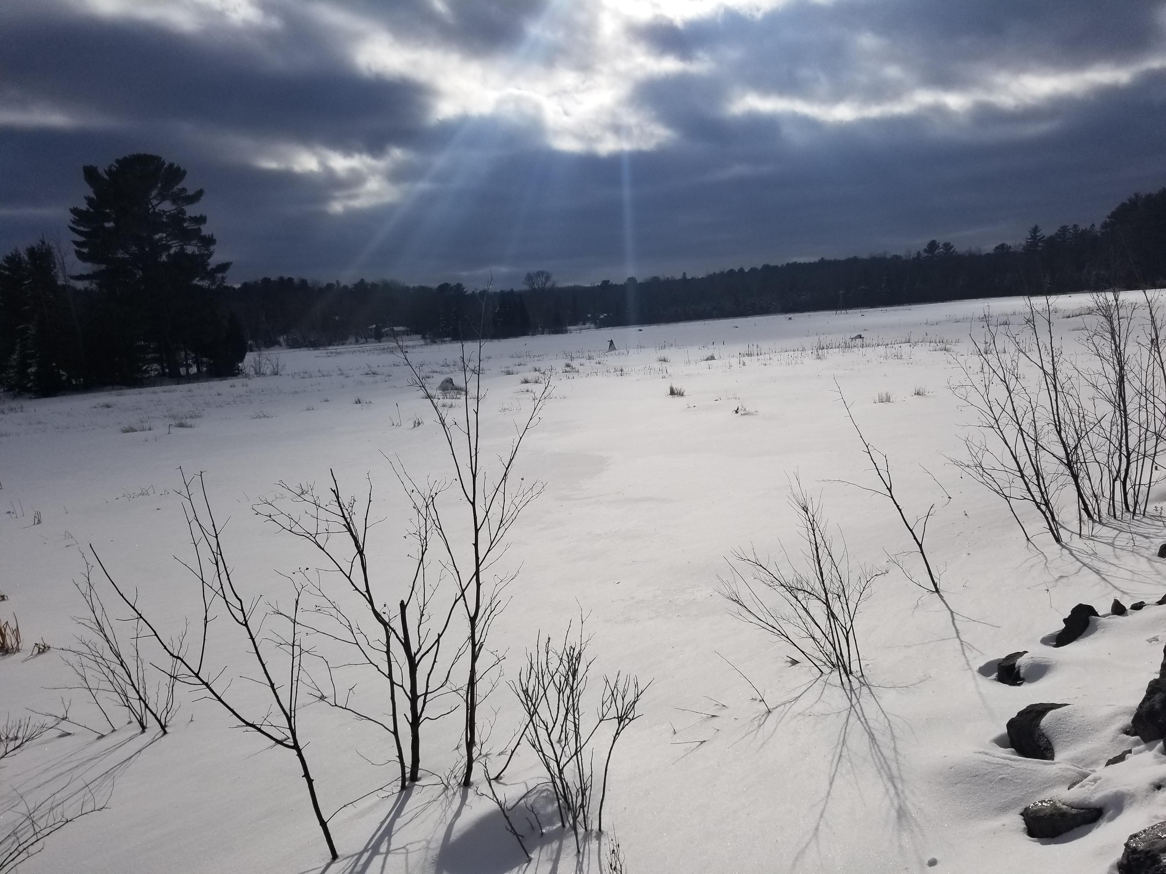 Hiking around Dead River Basin with family and dogs r/hiking
